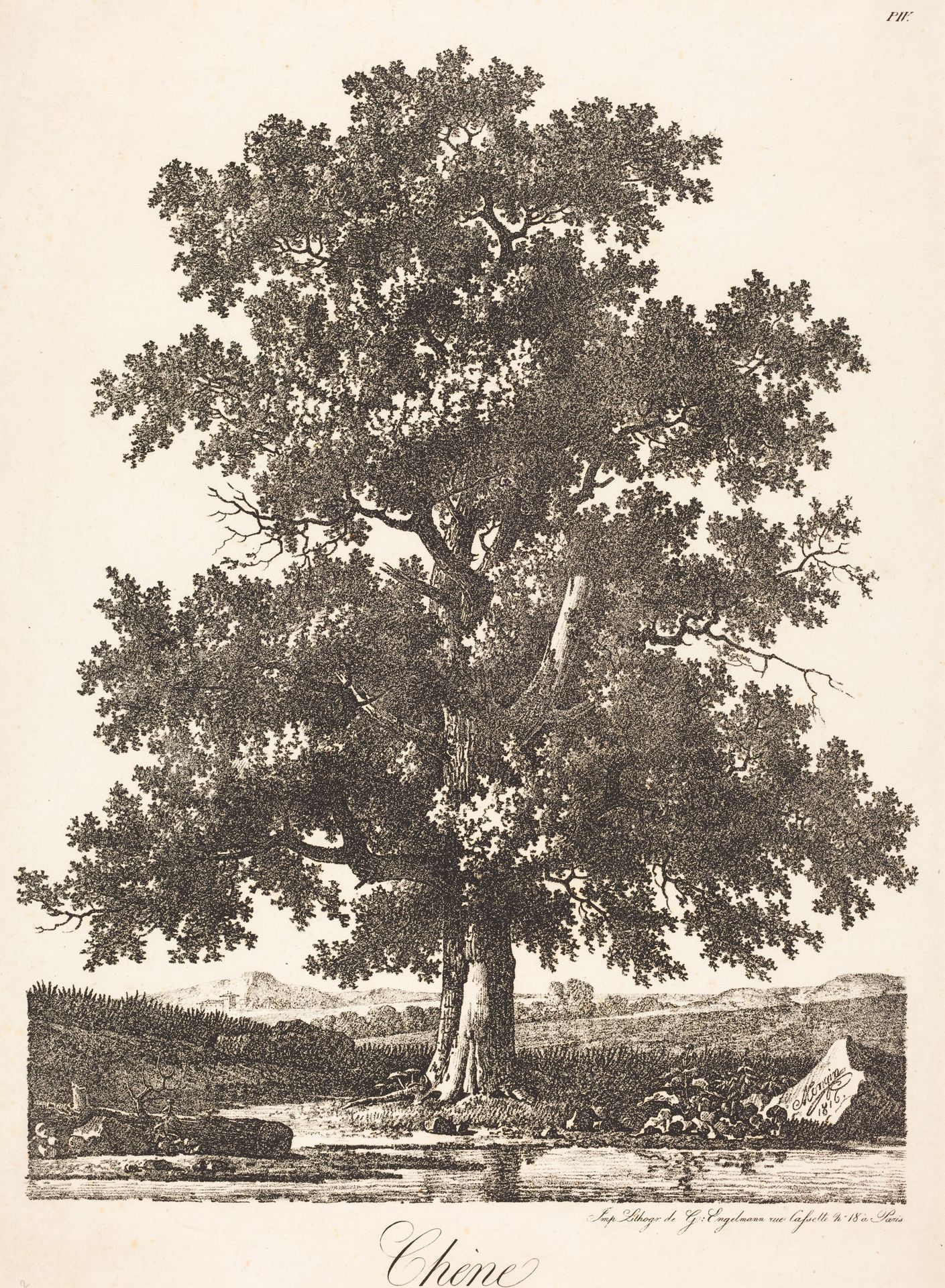 Chene (Oak Tree) by Antoine Pierre Mongin