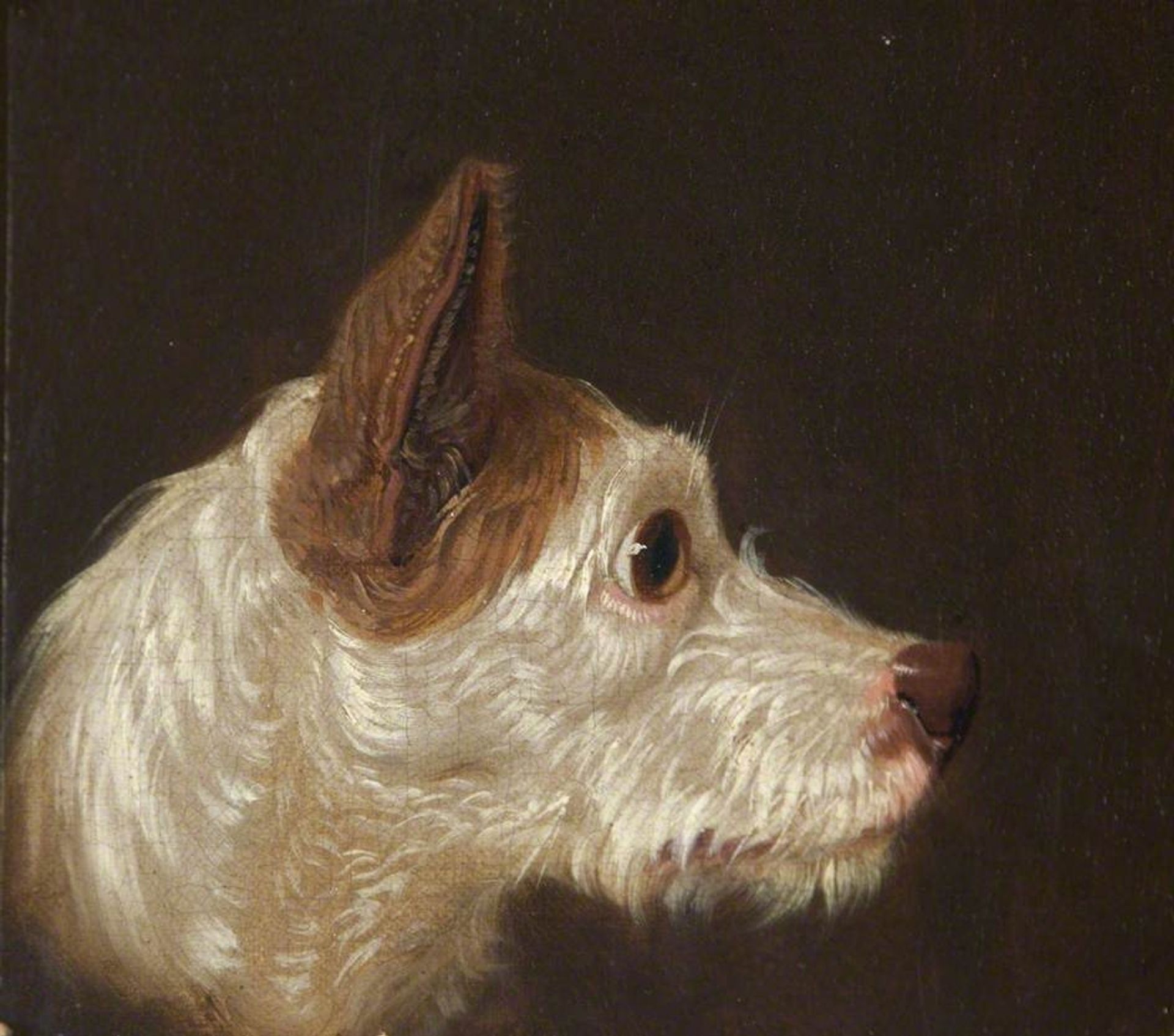 Dog's Head by James Ward