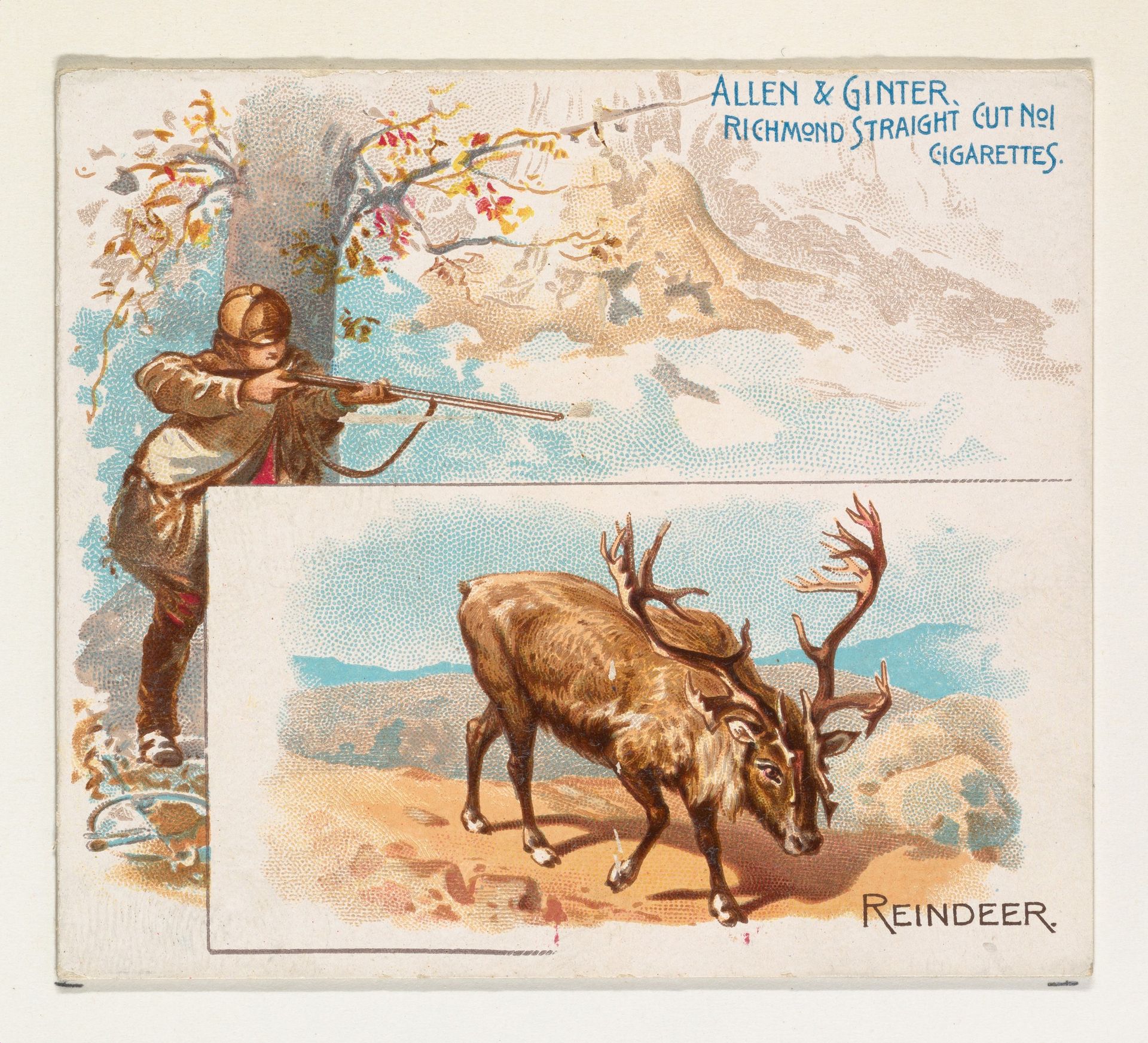 Reindeer, from Quadrupeds series (N41) for Allen & Ginter Cigarettes by Allen & Ginter