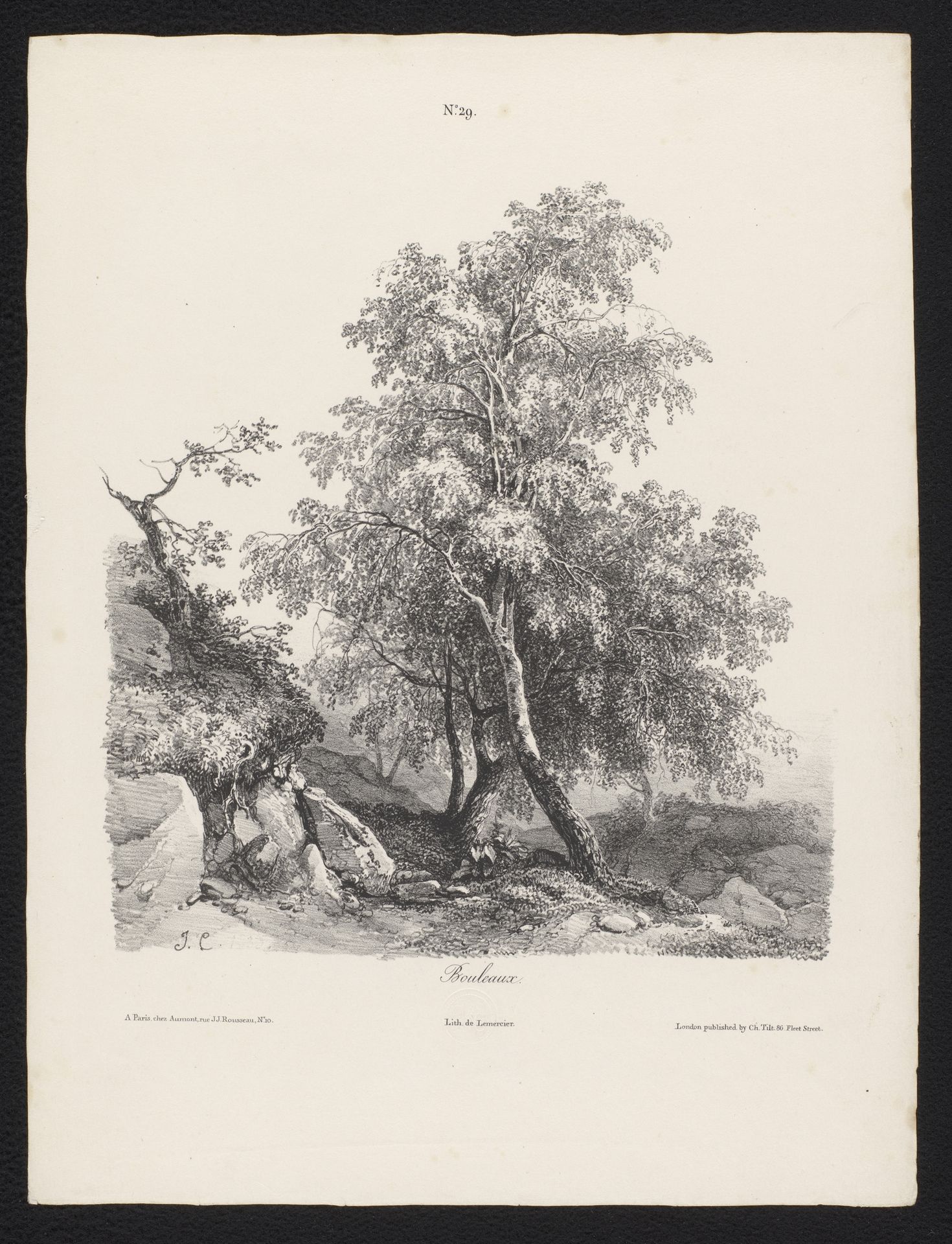 Berkenbomen tussen de rotsen by Jules Coignet