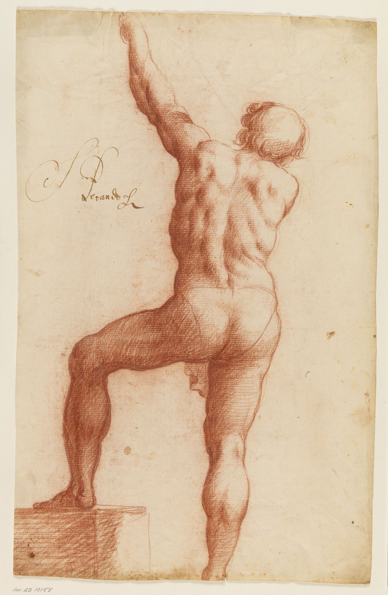 Standing semi-nude male seen from behind with his left arm raised by Anonymous