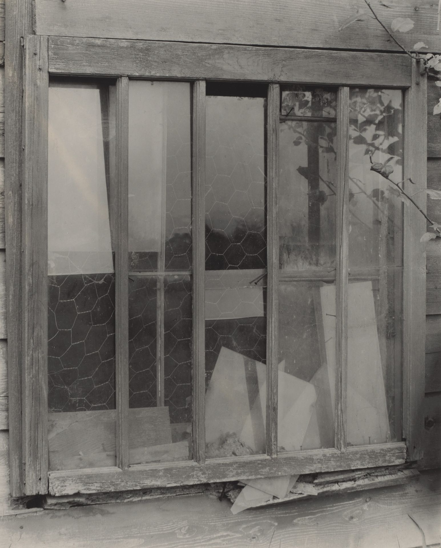 Window by Alfred Stieglitz