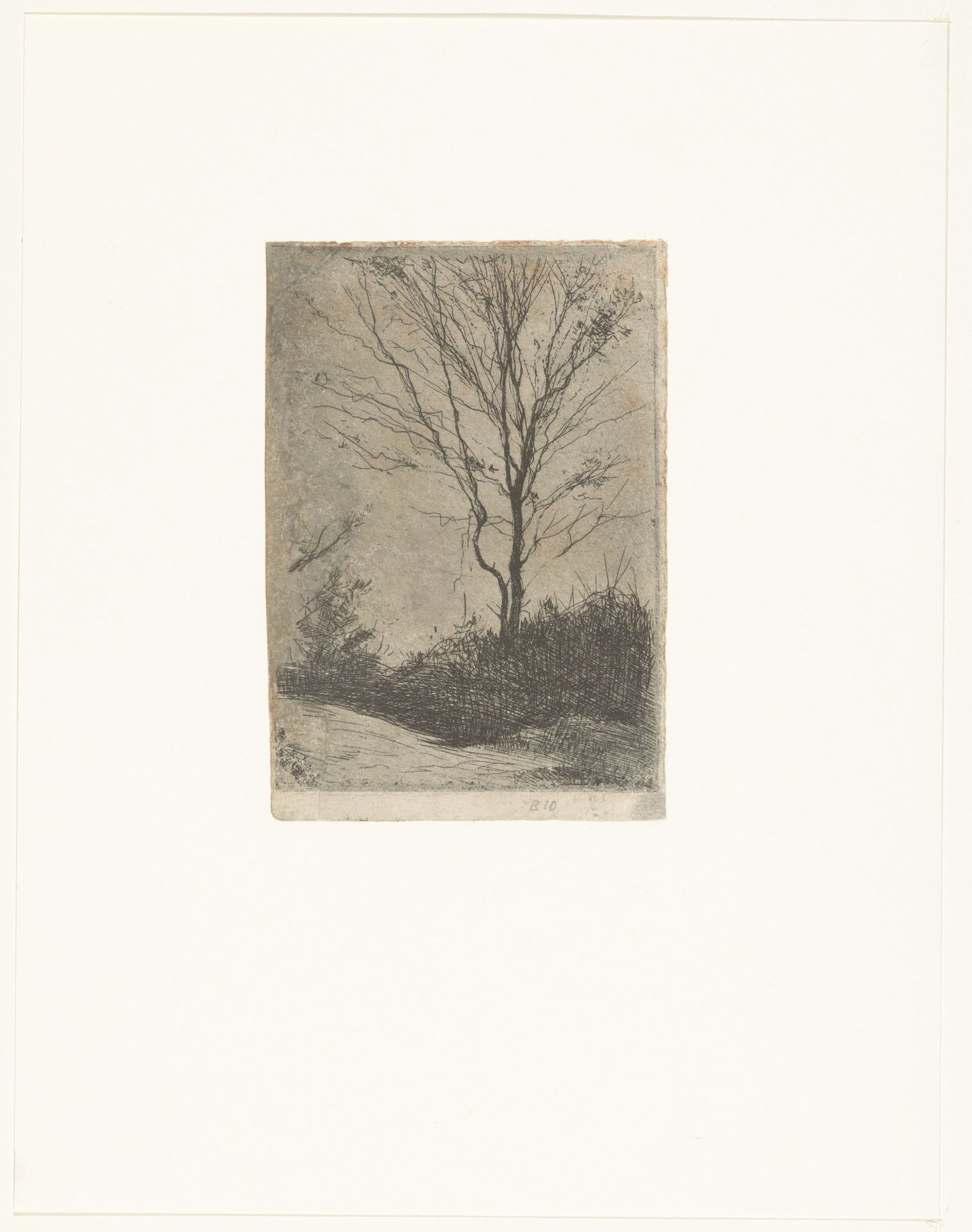 Boom en struiken langs een pad by Willem Witsen