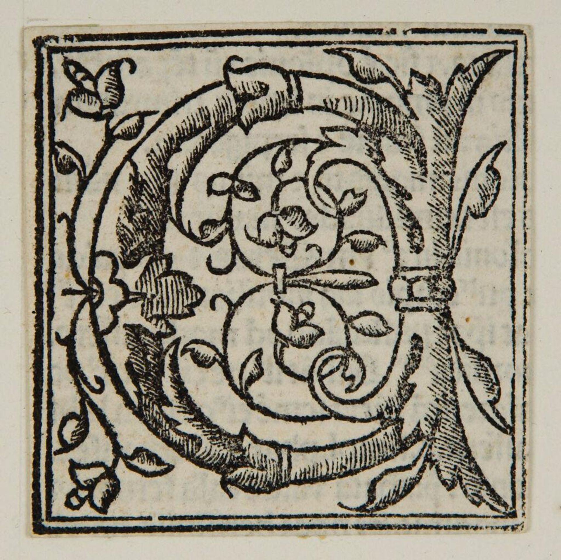 Letter C by Anonymous