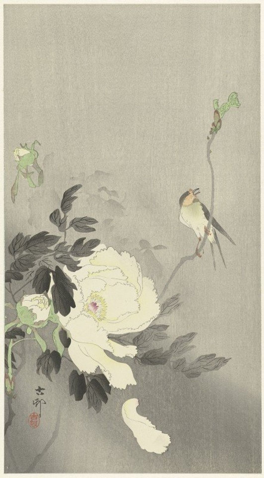 Swallow with Peony by Ohara Koson