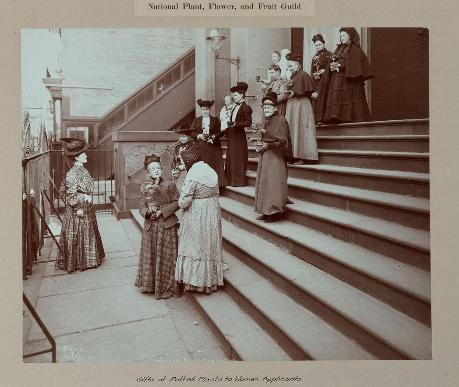 Charity, Organizations: United States. New York. New York City. National Plant, Flower and Fruit Guild: National Plant, Flower, and Fruit Guild: Gifts of Potted Plants to Women Applicants. by Byron Company