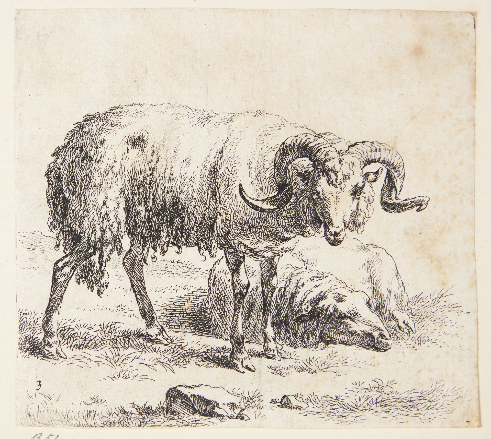 Stående vædder og et liggende får by Nicolaes Berchem