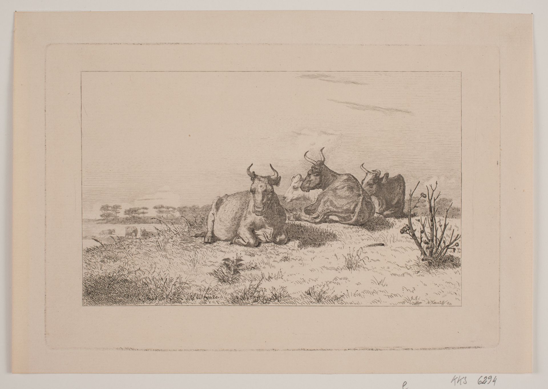 Hvilende køer by Adolph Kittendorff