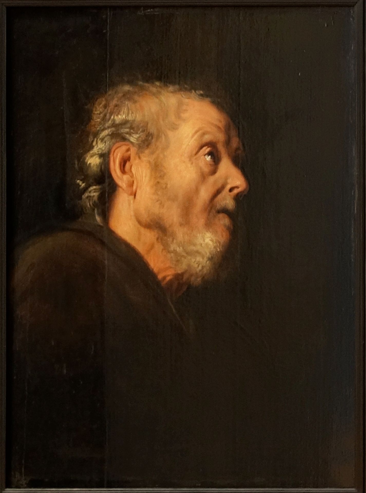 Old man's head by Jan Lievens