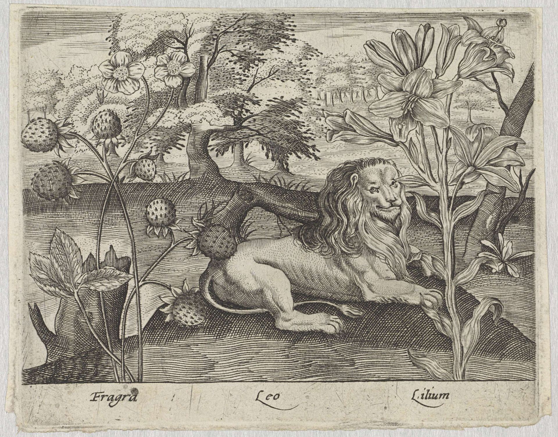 Series of Prints with Flowers and Animals in a Landscape by Johann Hogenberg