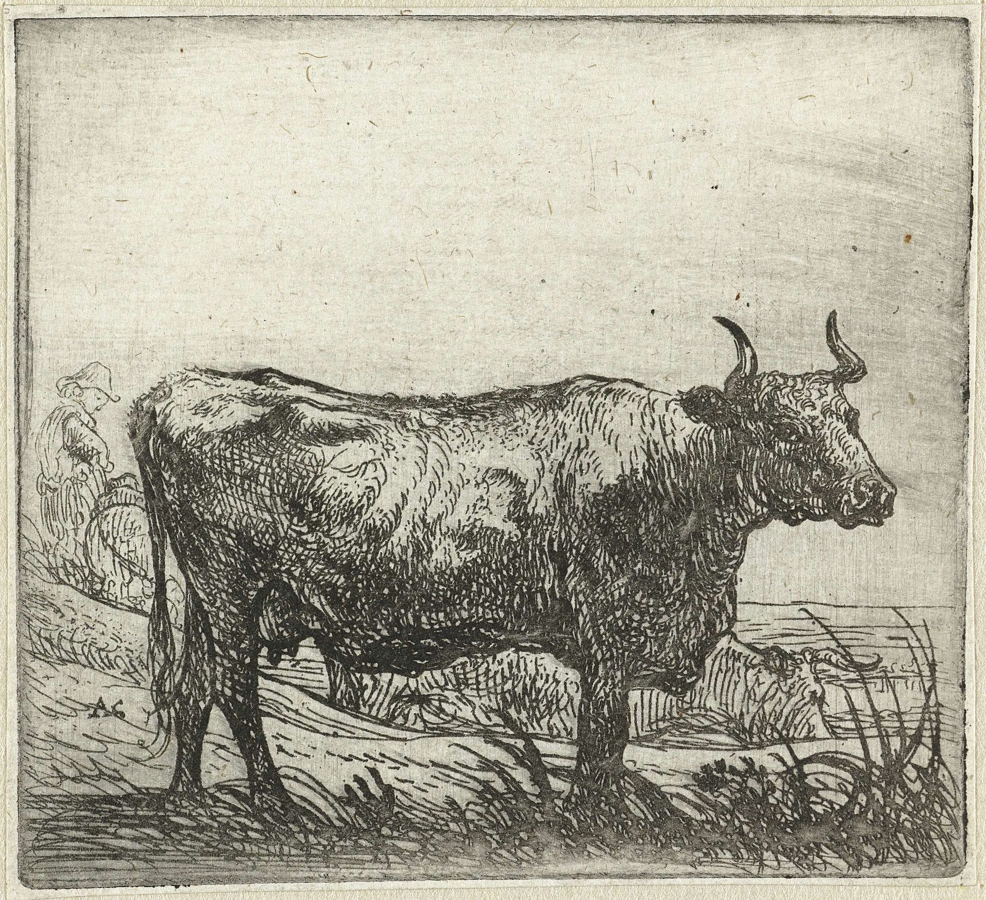 Twee koeien by Aelbert Cuyp