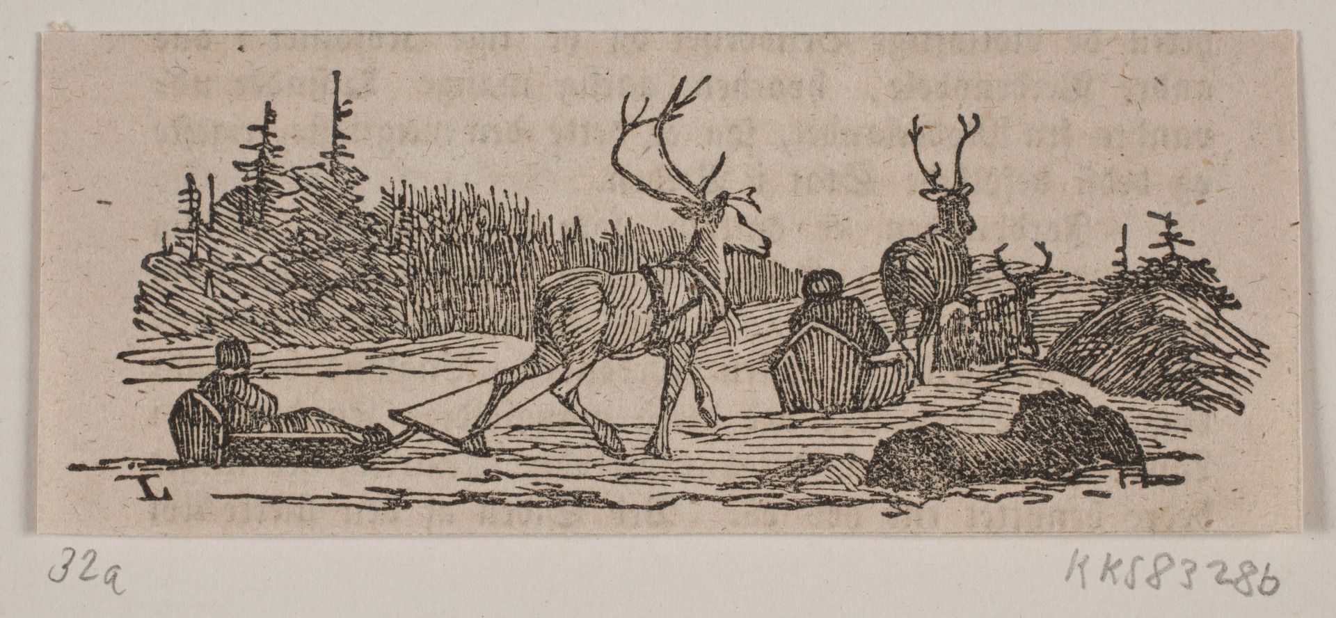 Slædekørsel med rensdyr by H. C. Henneberg
