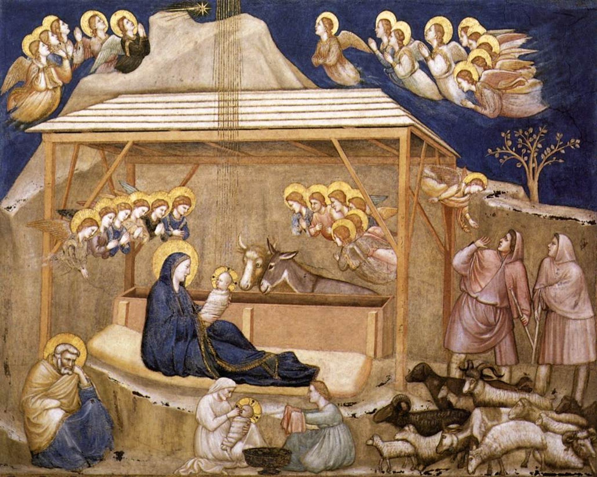 Nativity by Giotto
