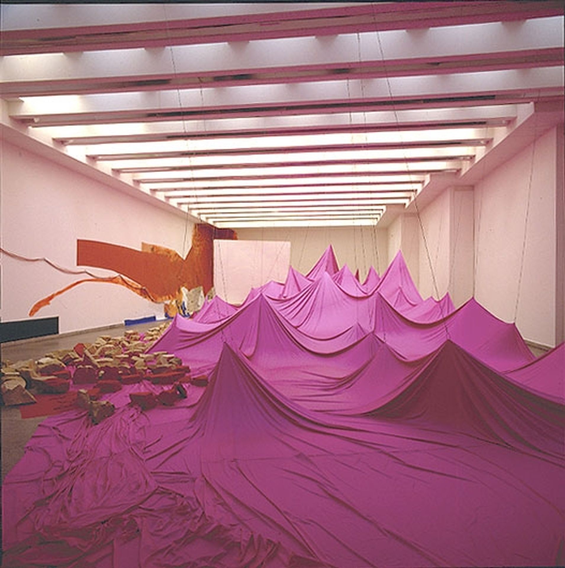 Growing Rock Candy Mountain Grasses in Canned Sand by Jessica Stockholder