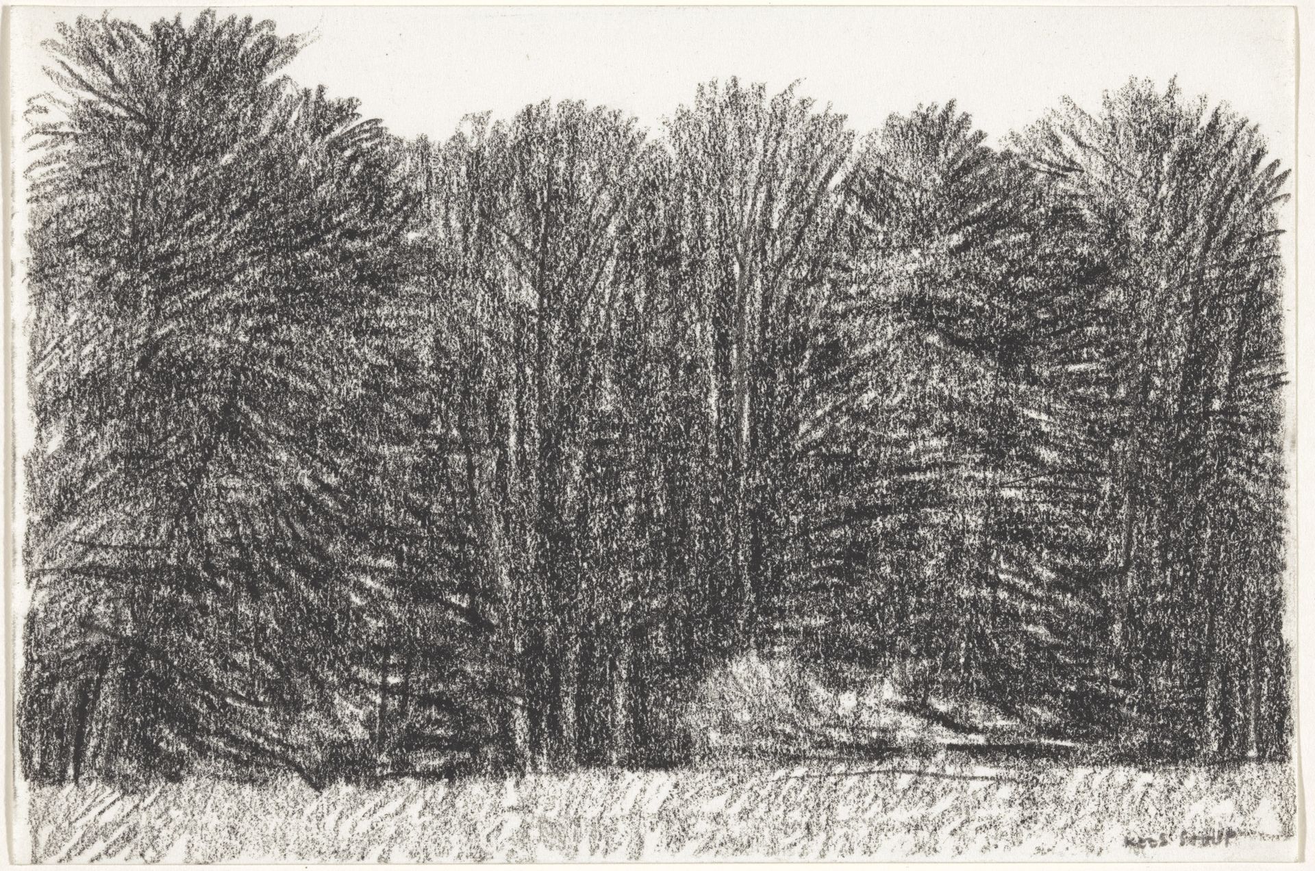 Bosrand by Kees Stoop