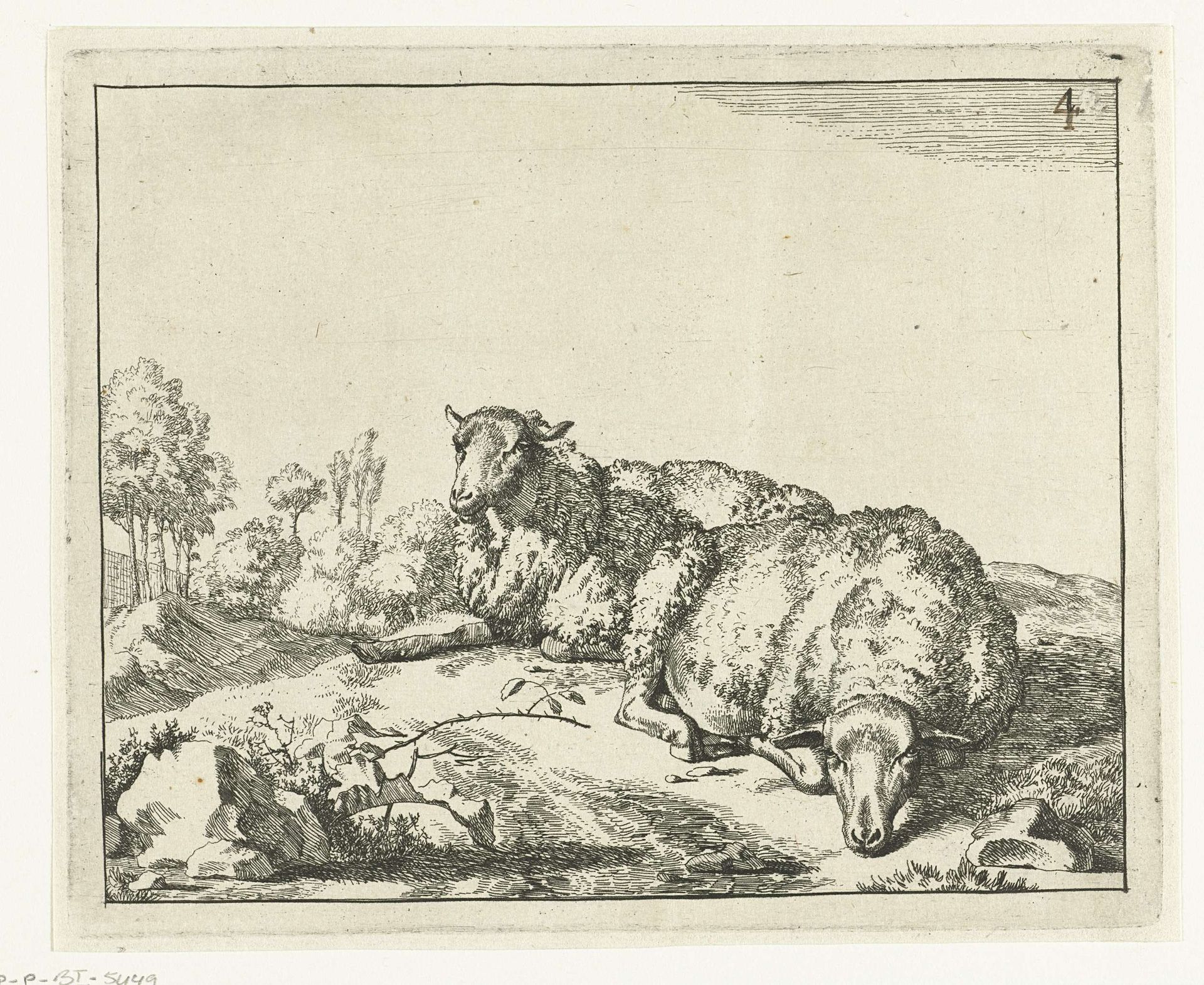 Twee schapen liggend bij bramentak by Marcus de Bye