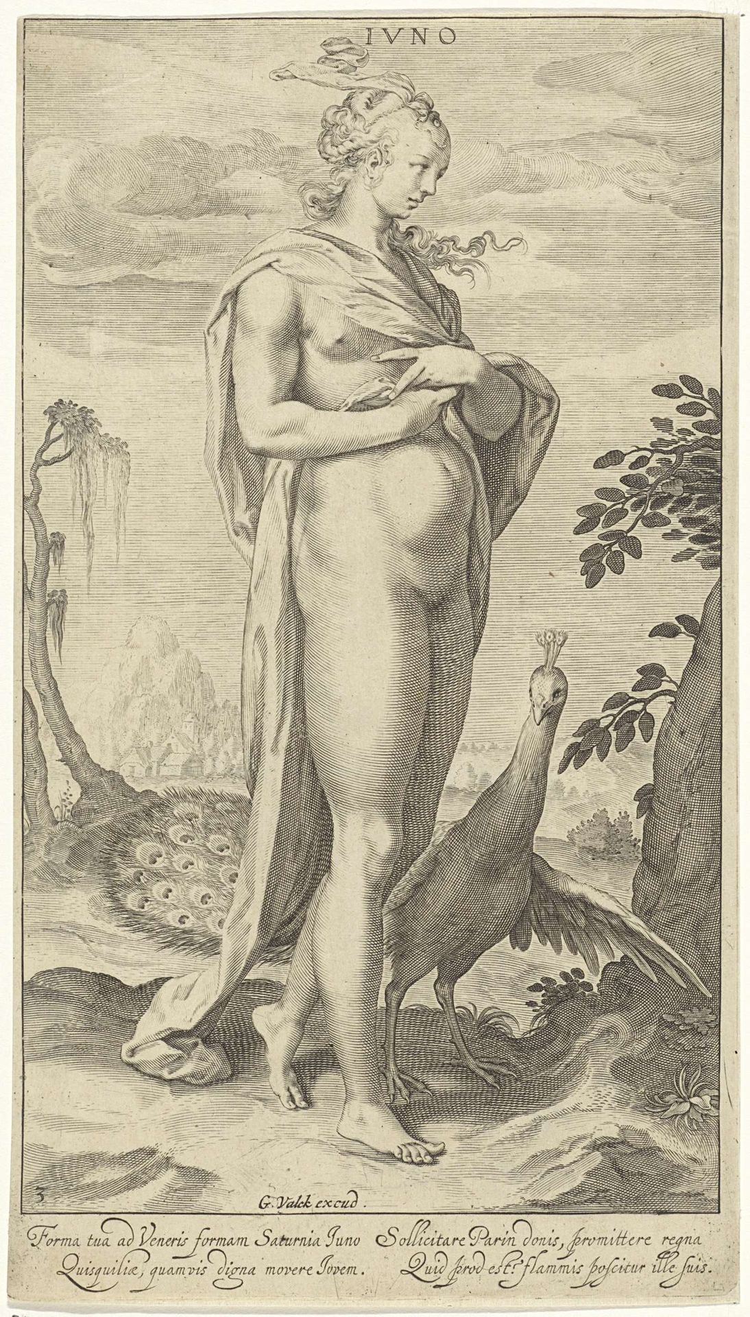 Juno met pauw by Willem van Swanenburg