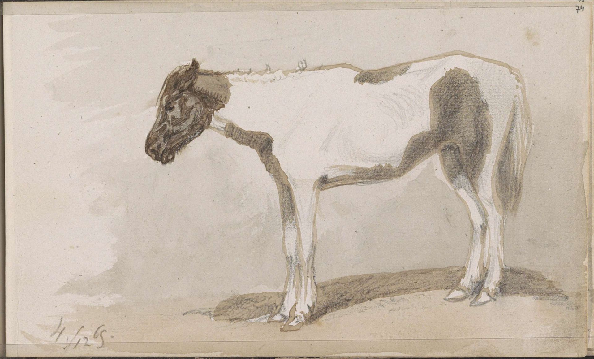 Paard, van opzij gezien by Johannes Tavenraat