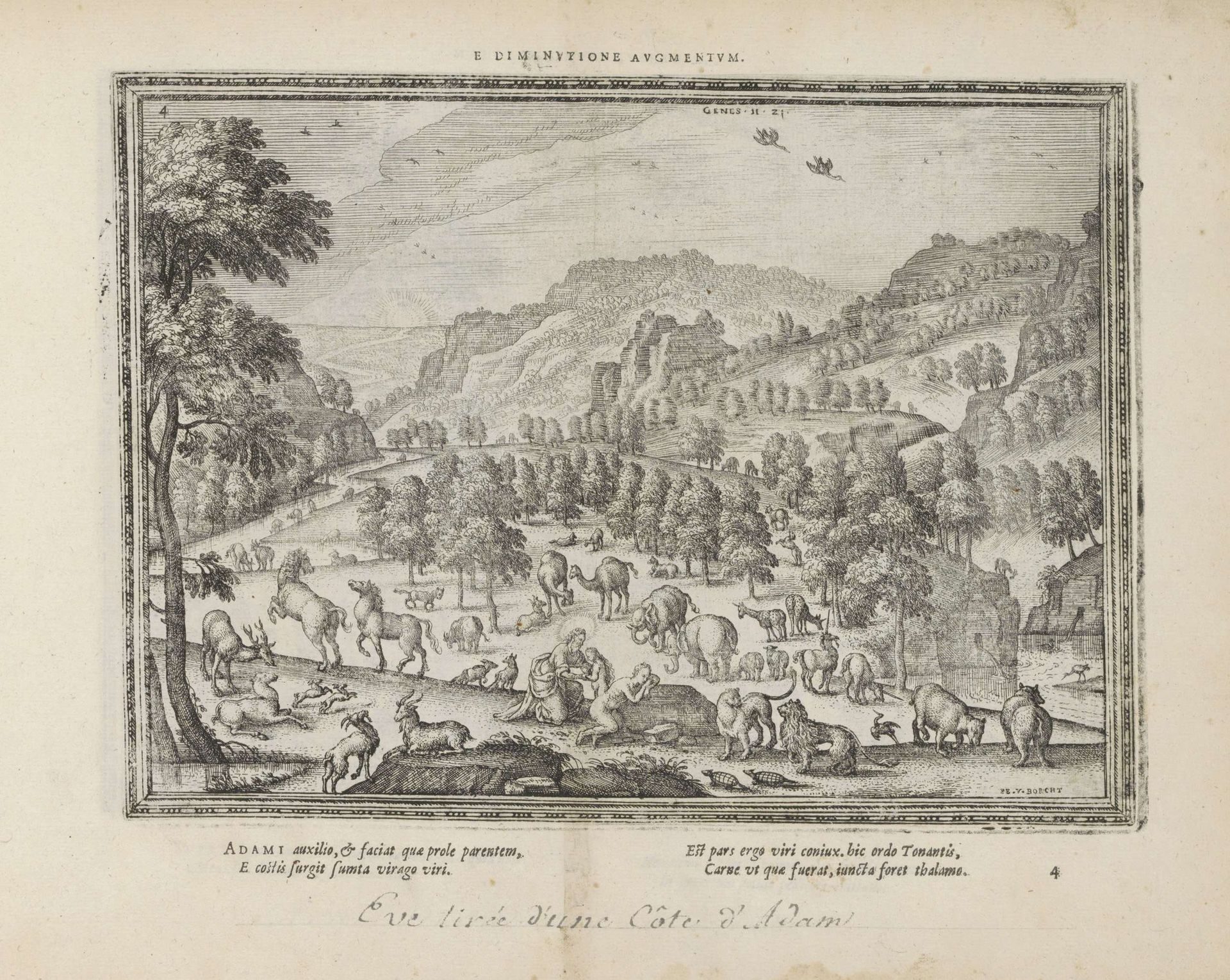 Schepping van Eva by Pieter van der (I) Borcht