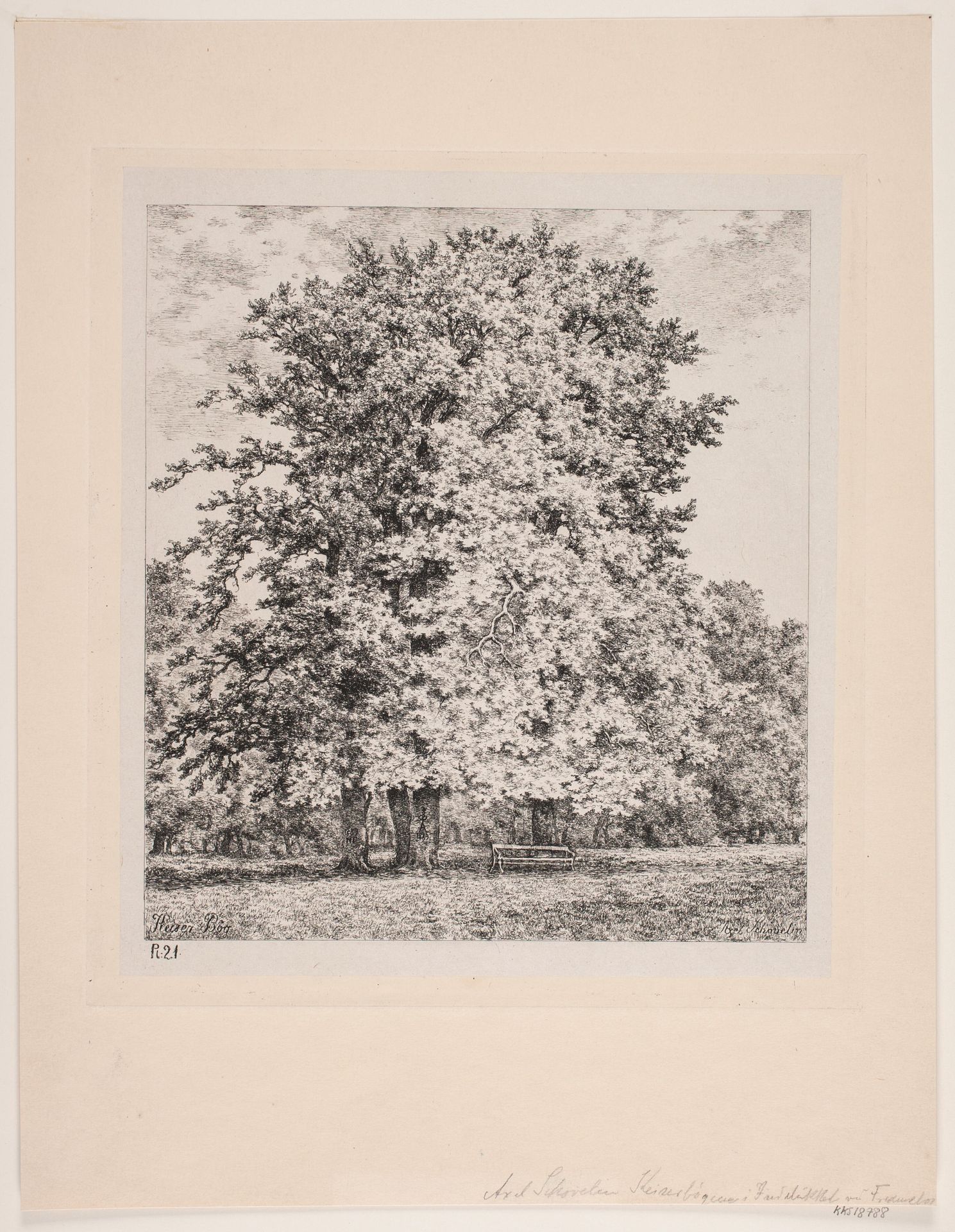 Kejser bøgen. Fredensborg by Axel Schovelin