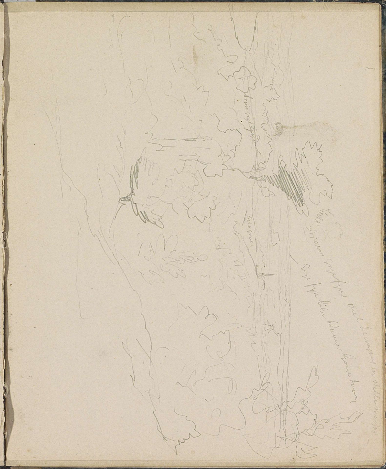 Heuvellandschap met bomen by Johannes Tavenraat