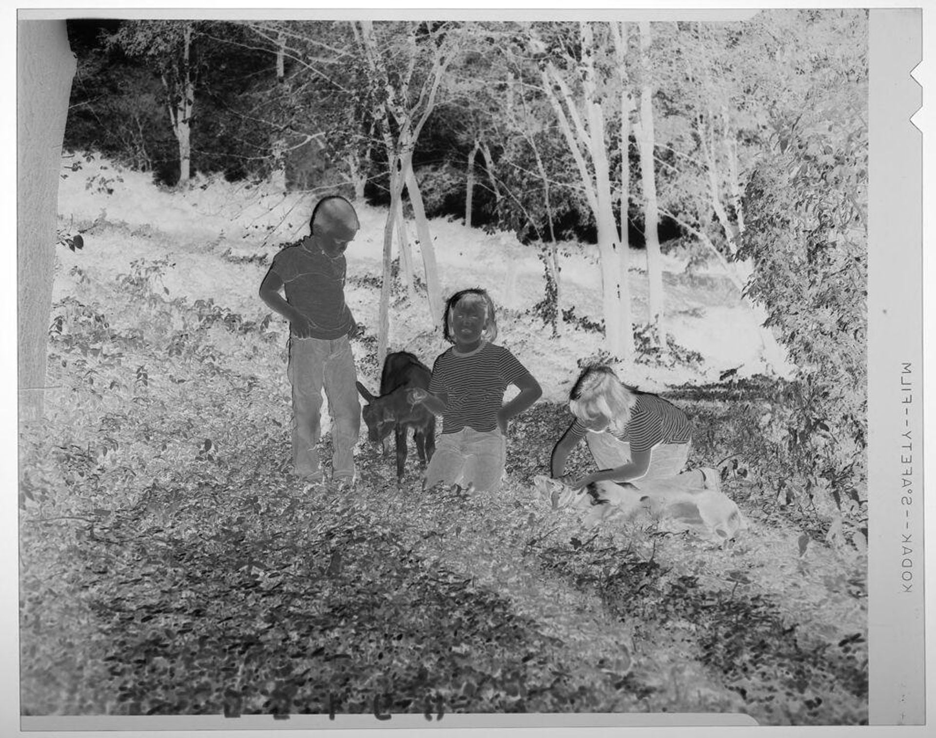 Untitled (young boy and two girls in striped shirts holding two goats on grassy hill) by Martin Schweig