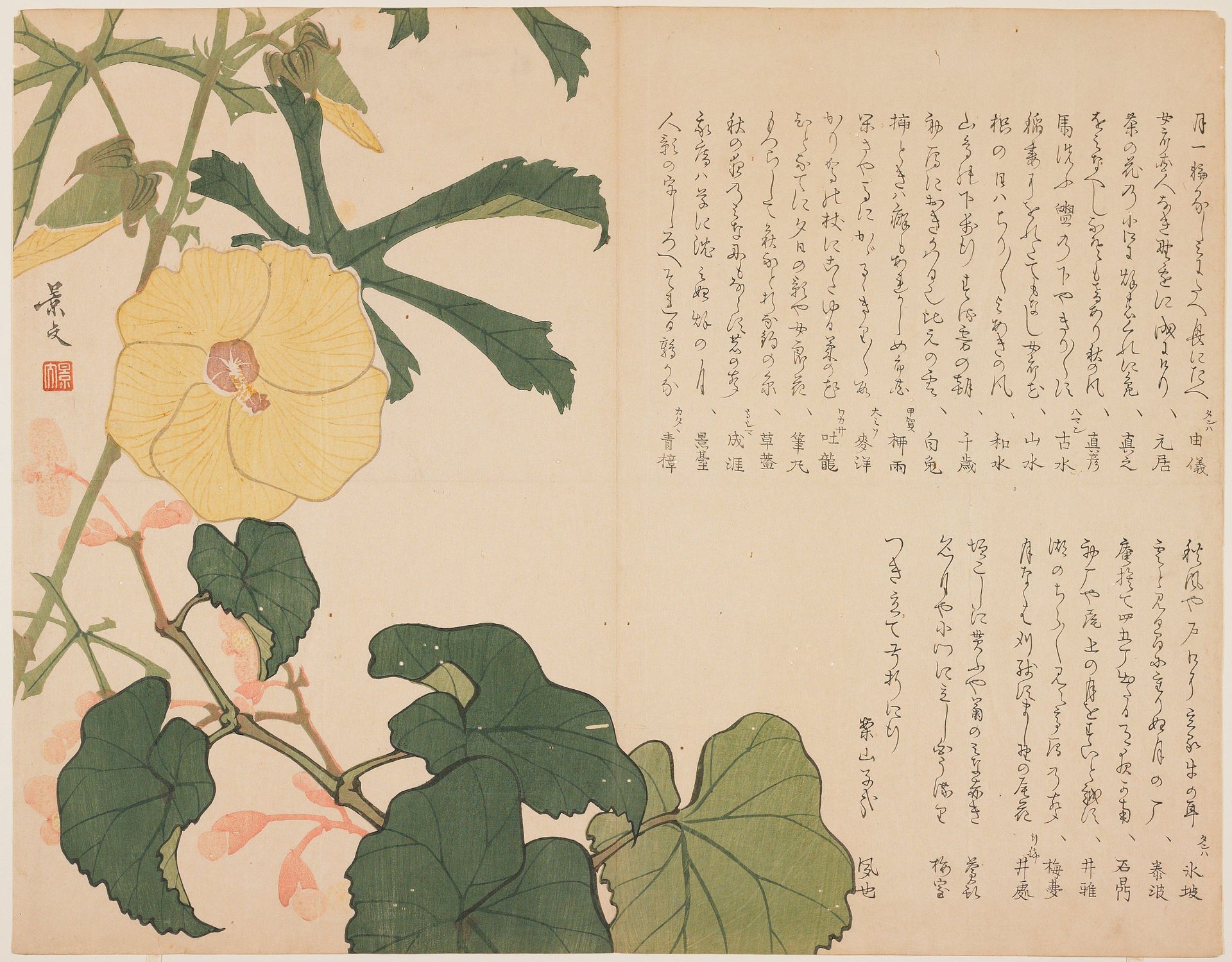 (Yellow flowering shrub) by Matsumura Keibun