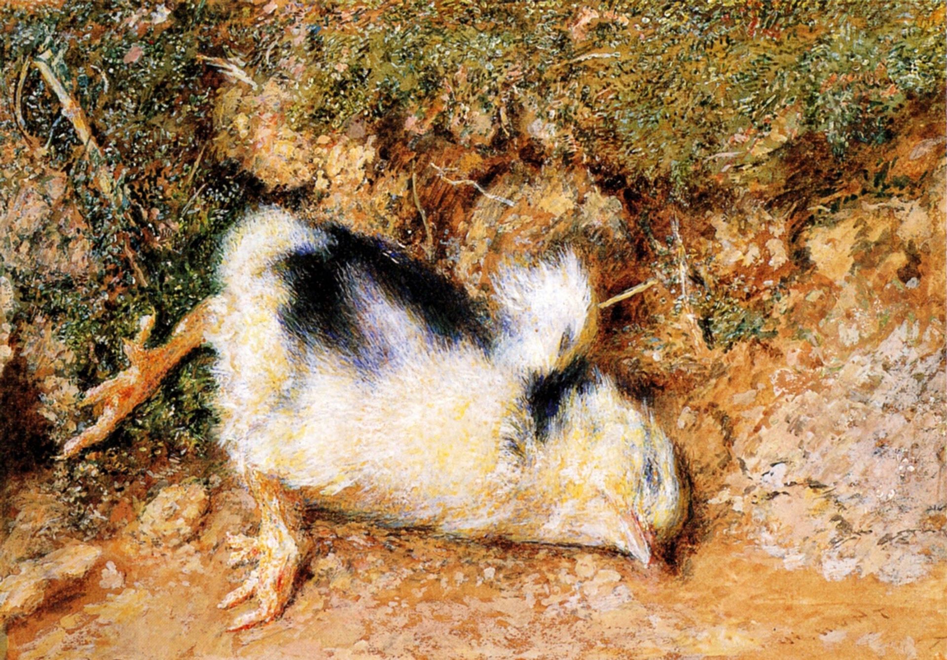 John Ruskin's dead chick by William Holman Hunt