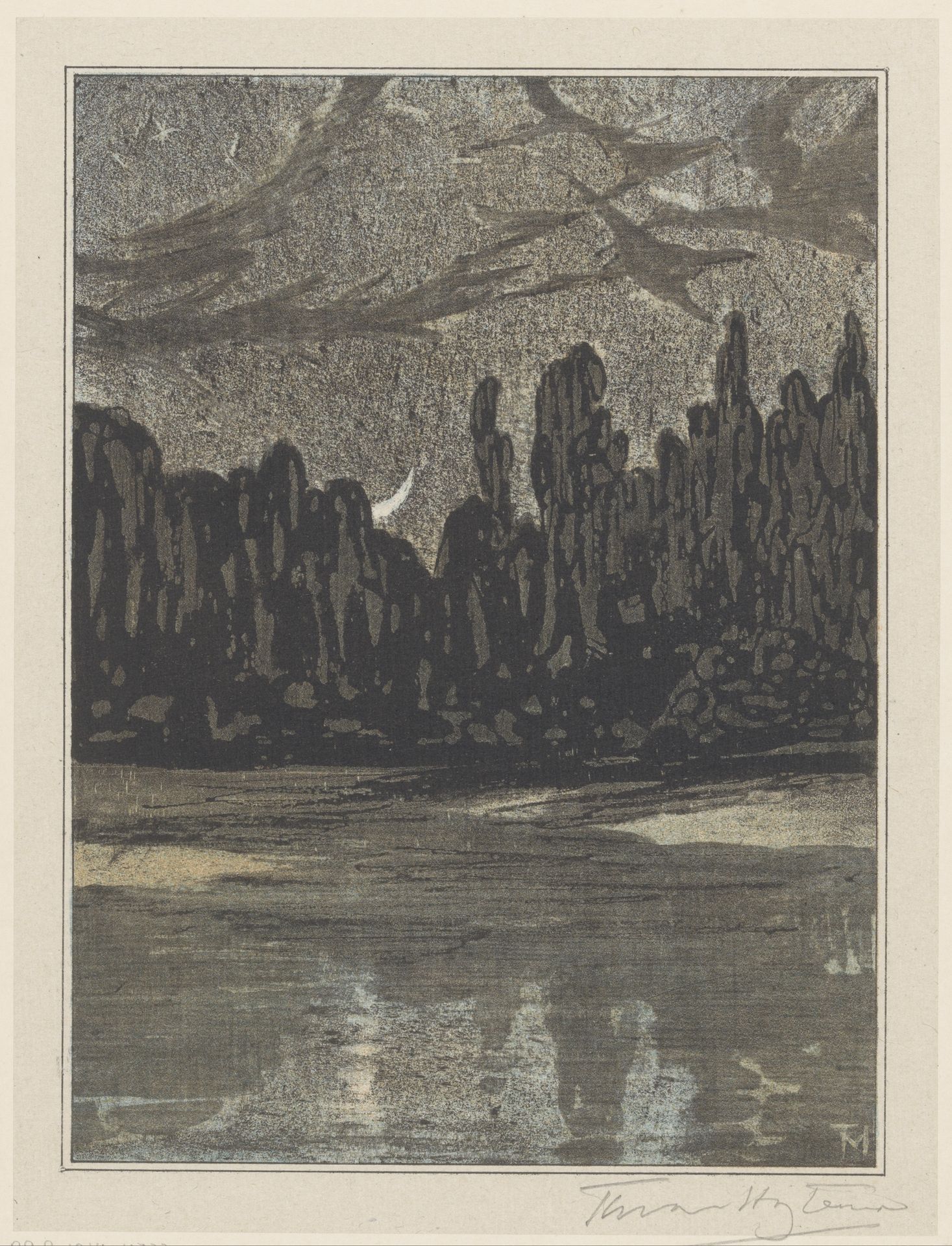 Nachtelijk landschap met trekvogels by Theo van Hoytema