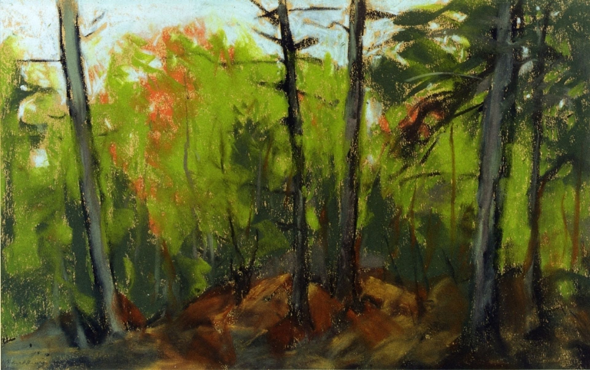 Woodland Scene, Monhegan, Maine by Robert Henri