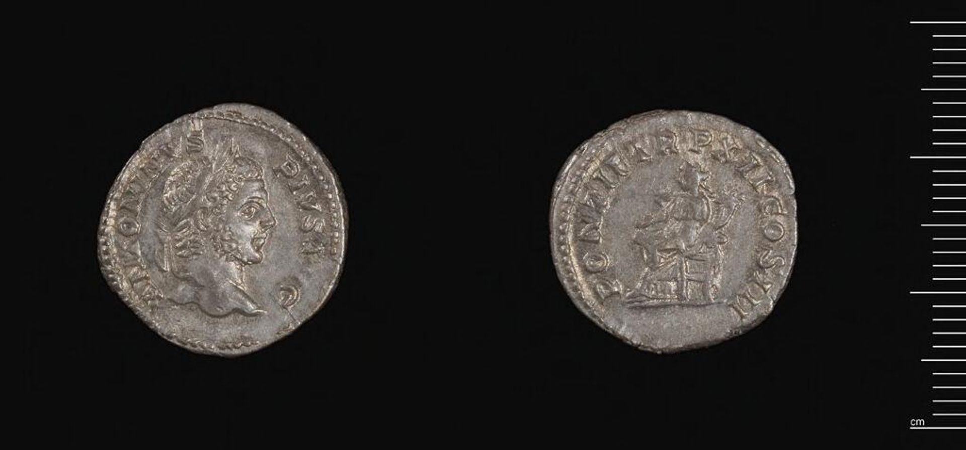 Denarius of Septimius Severus by Septimius Severus