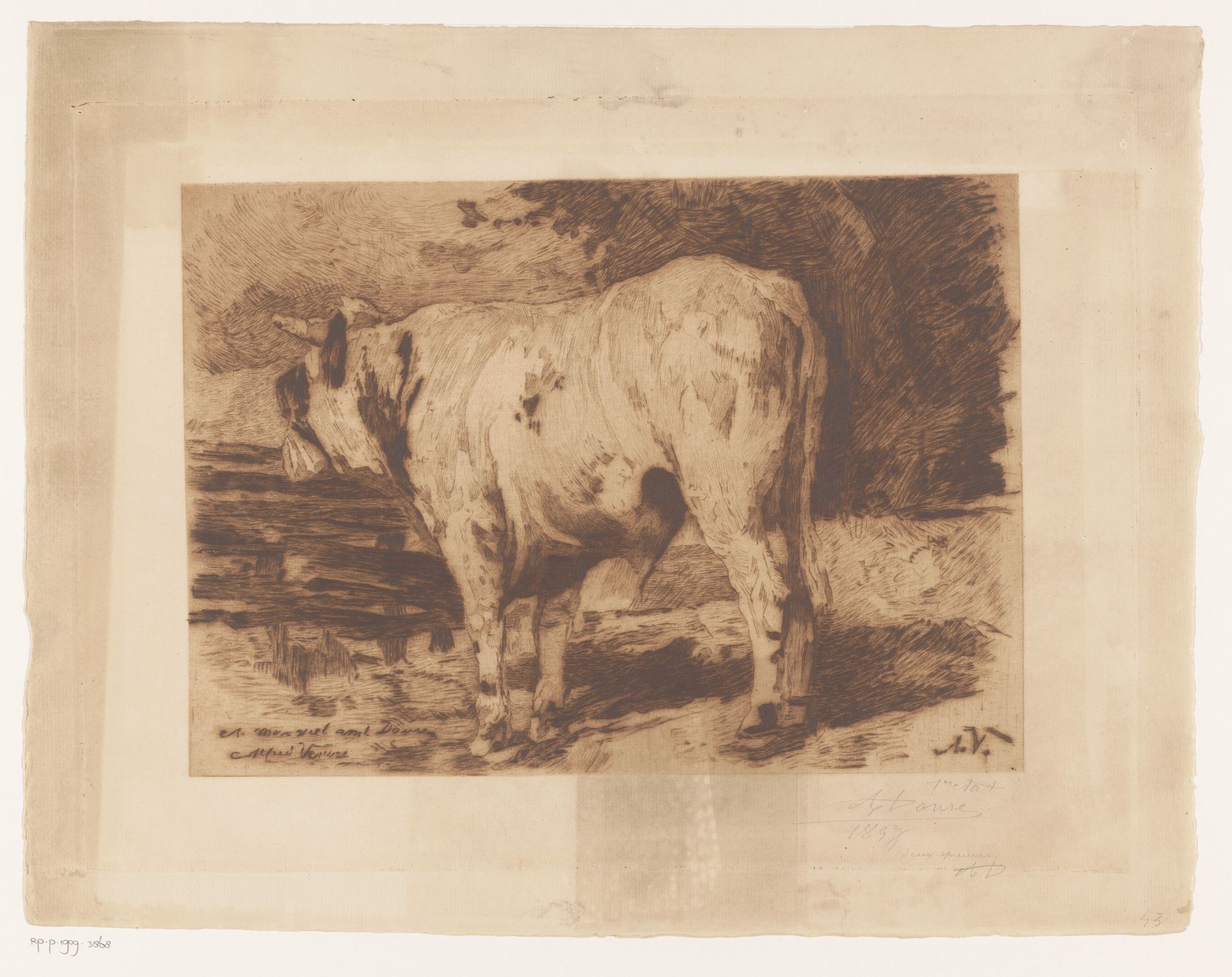Stier in de wei by Auguste Danse