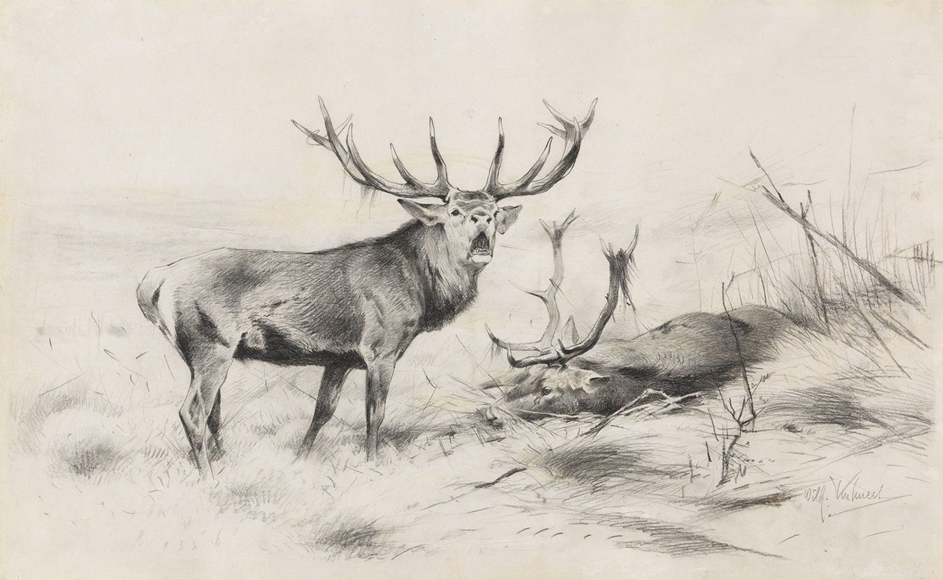 Besiegt by Wilhelm Kuhnert