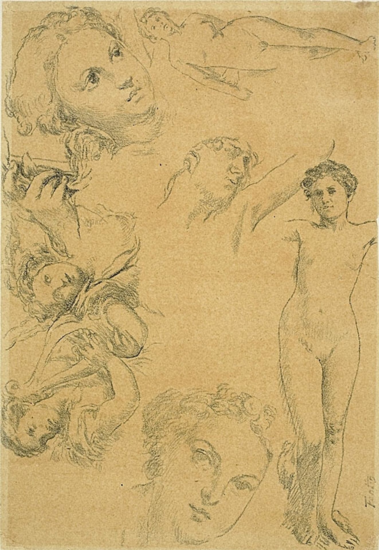 Sheet of Studies (replica) by Henri Fantin-Latour