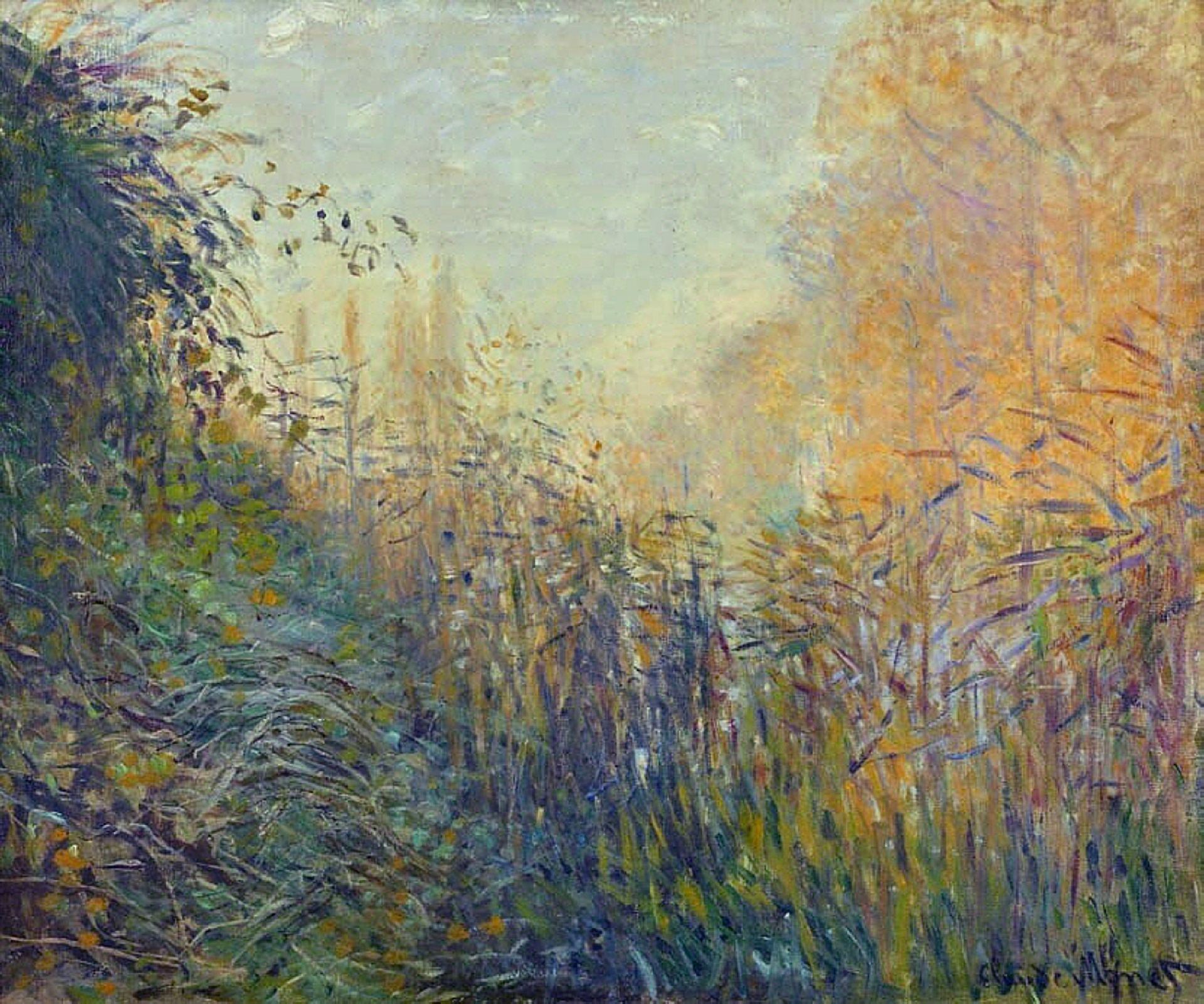 Study Rushes at Argenteuil by Claude Monet