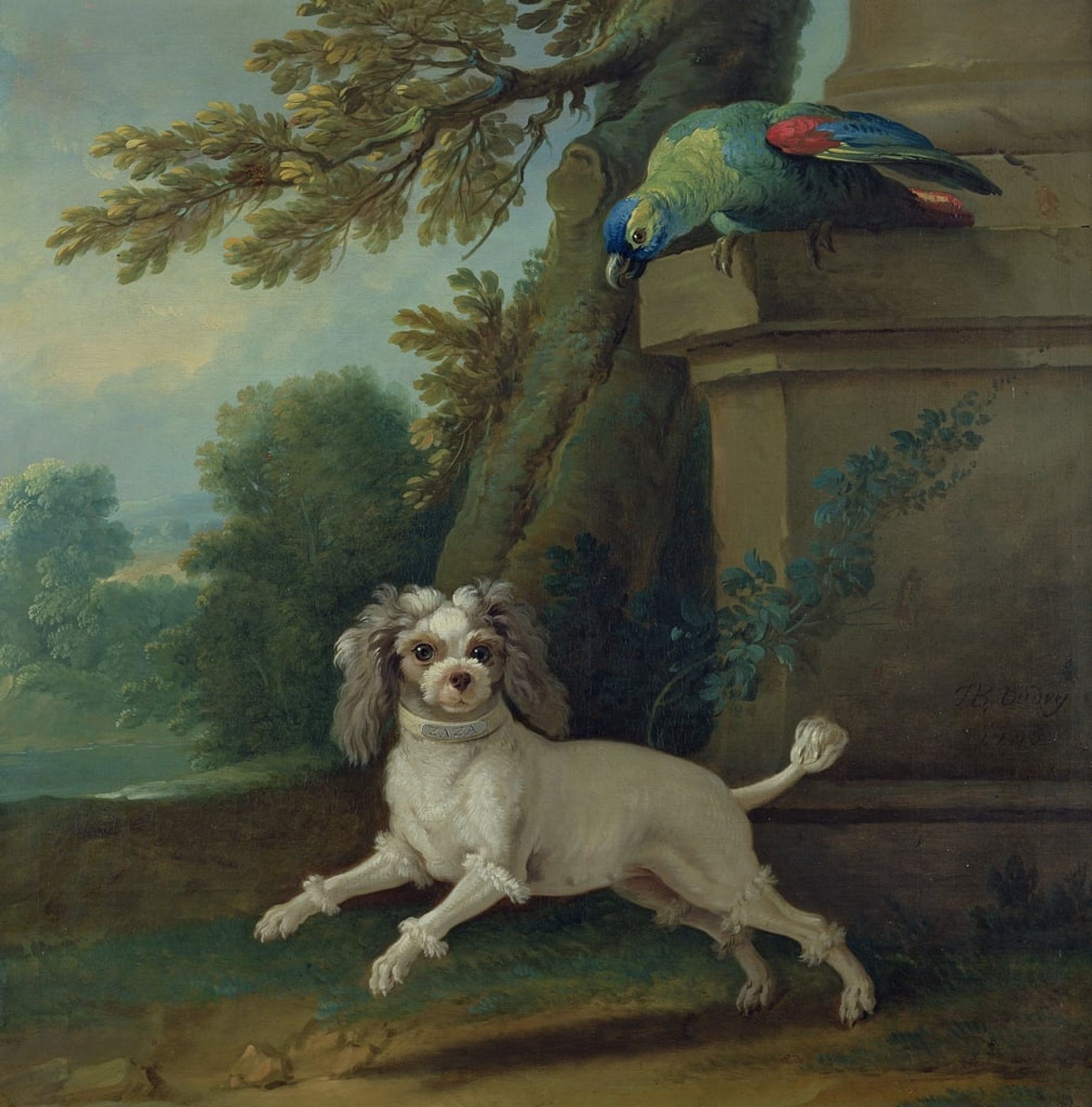 Zaza, the dog by Jean-Baptiste Oudry