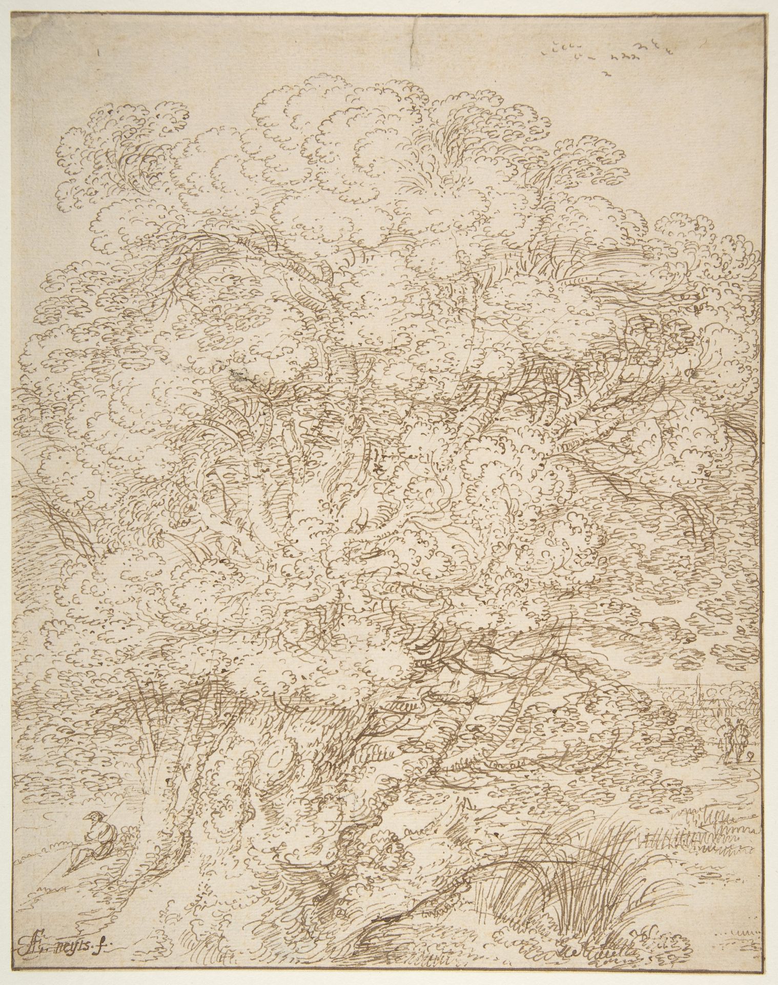 Study of an Old Tree by Gillis Neyts