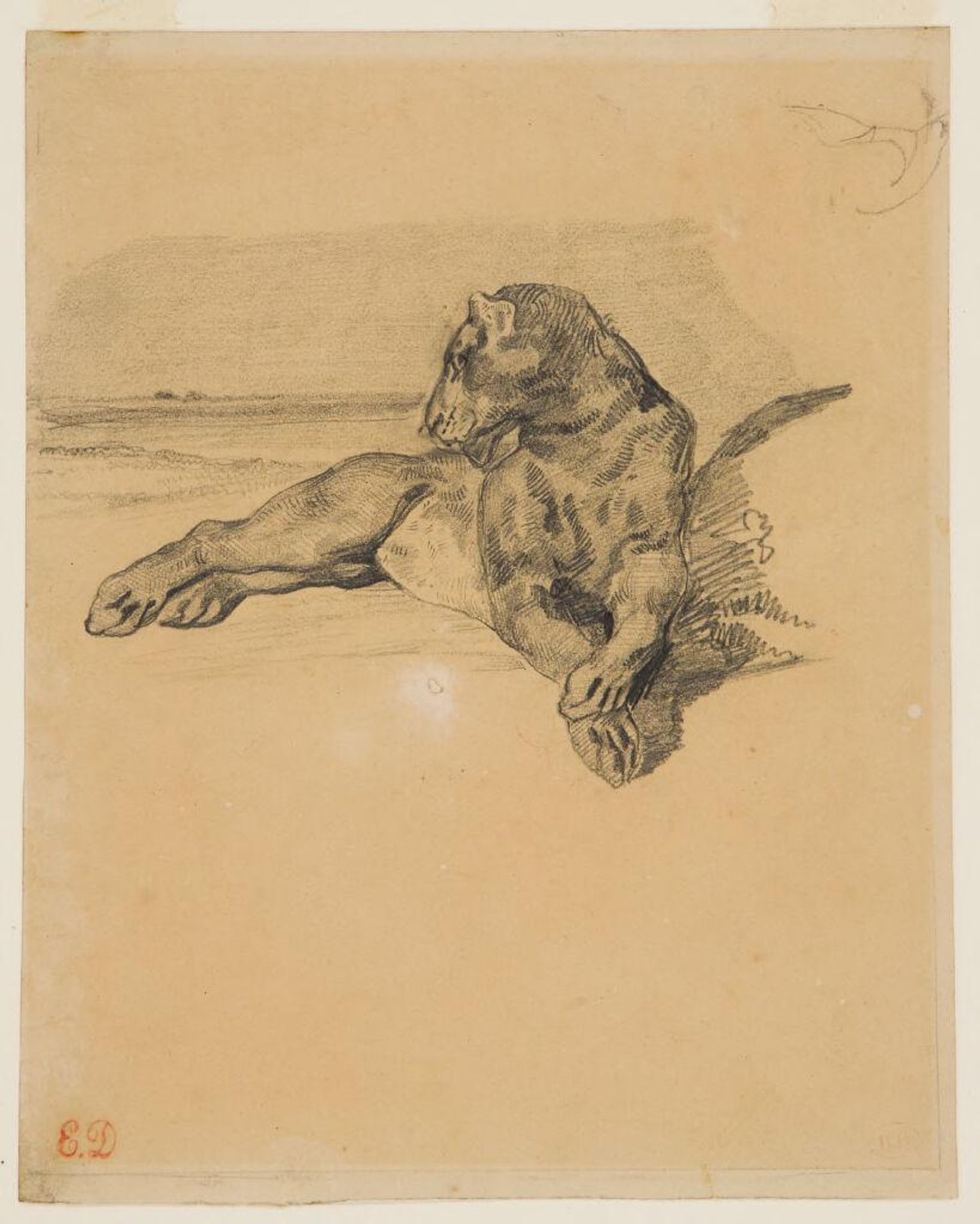 Lioness Resting by Eugène Delacroix
