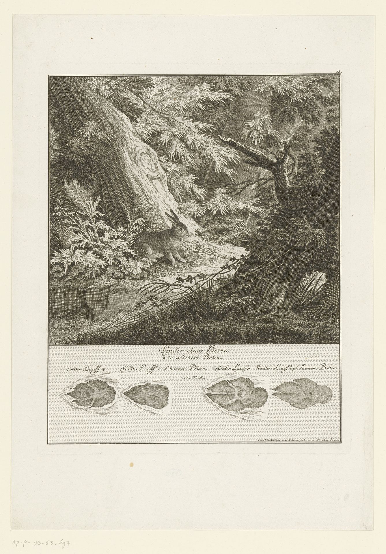 Haas met spoor by Johann Elias Ridinger