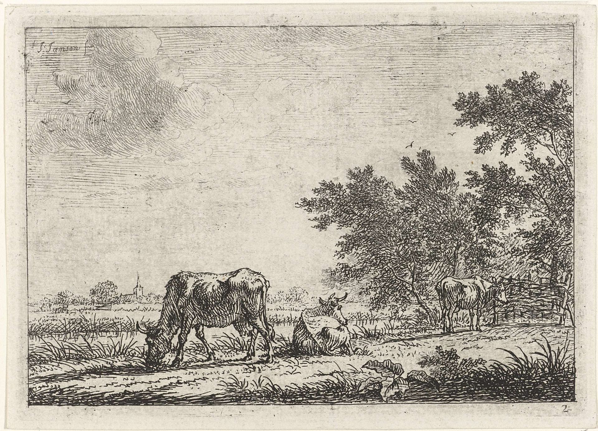 Drie koeien in weiland by Johannes Janson