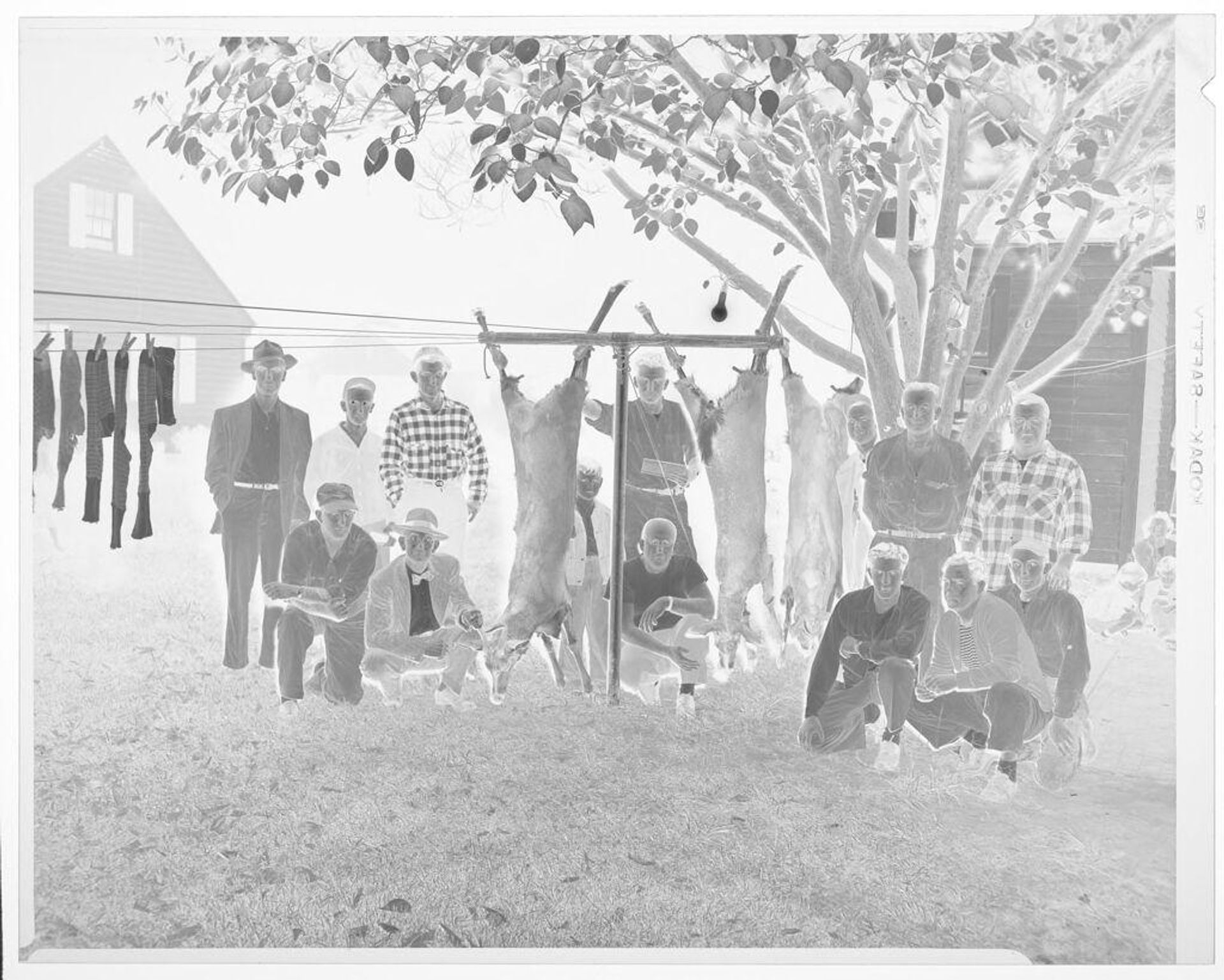 Untitled (group of men with hunted deer) by Hamblin Studio