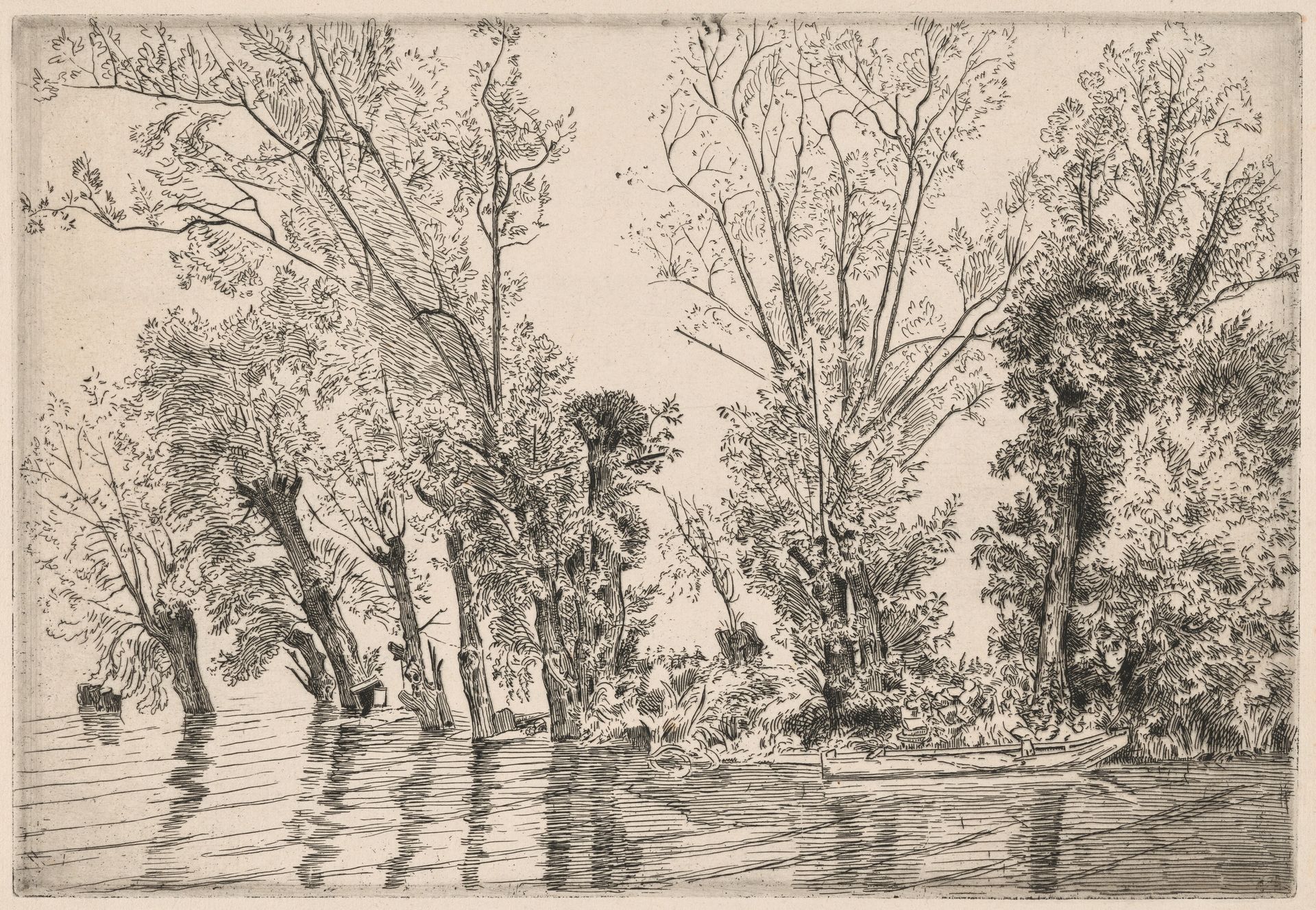 Willows of the Mottiaux Islands by Félix Bracquemond