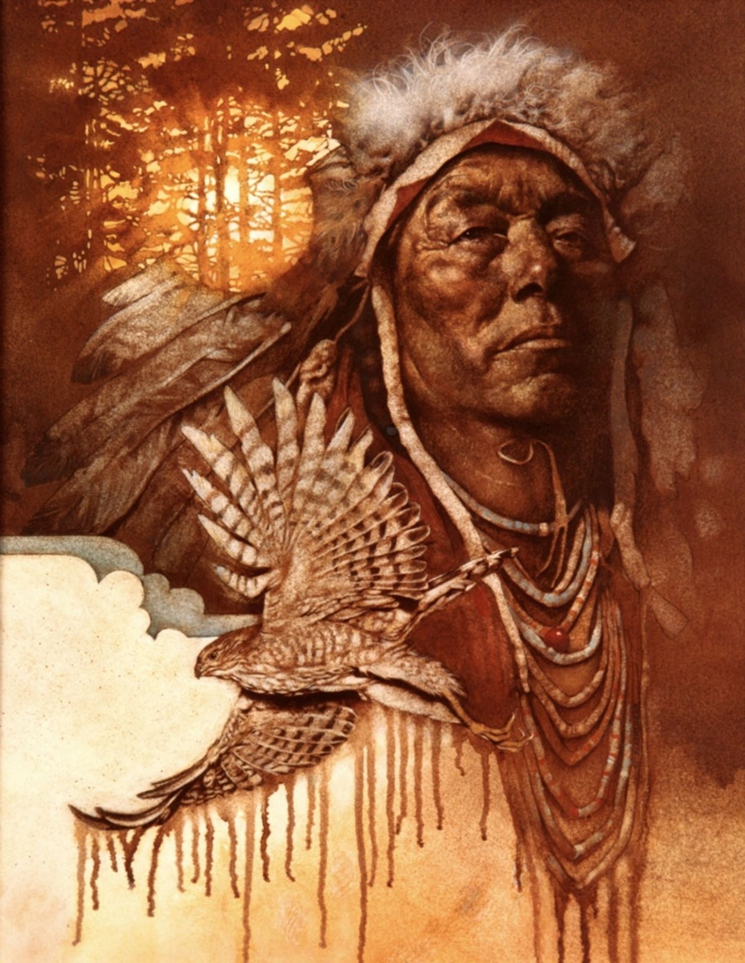 Sun Hawk by Thomas Blackshear