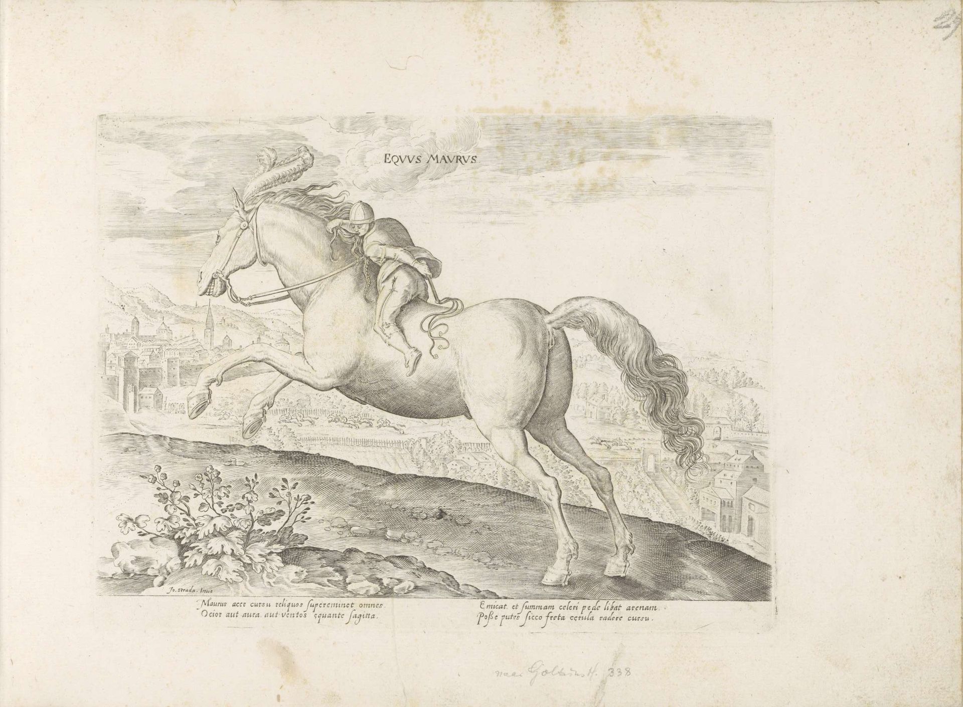Renpaard met ruiter by Anonymous