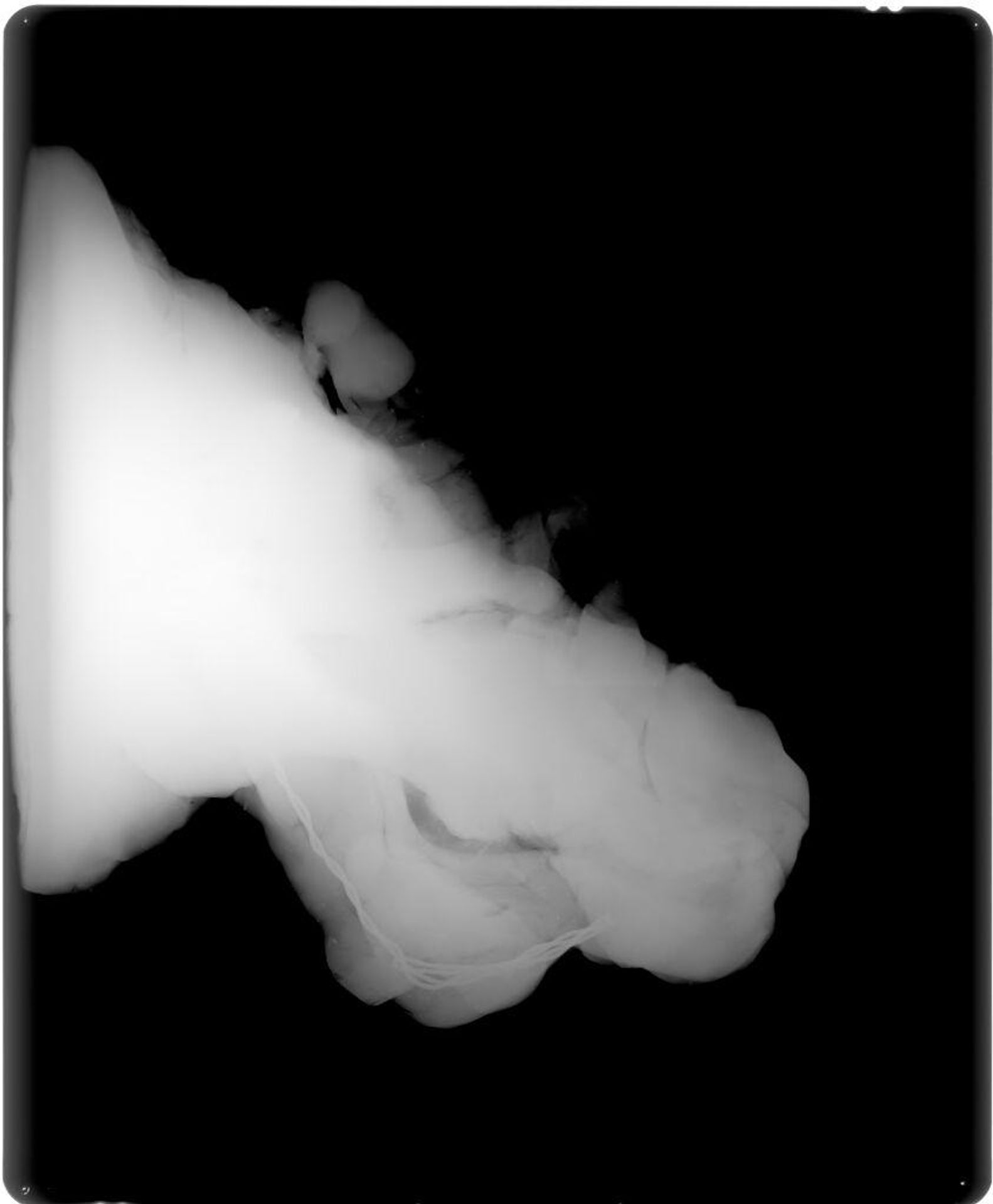 X-radiograph(s) of "Unbaked clay" by Artist of original: Auguste Rodin