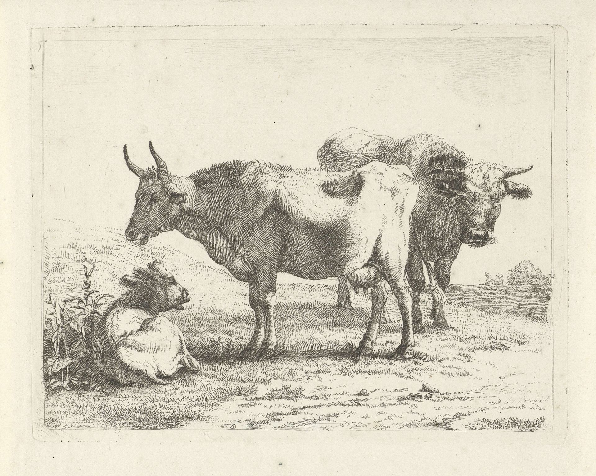 Twee koeien en een kalf by Andries Leijerdorp