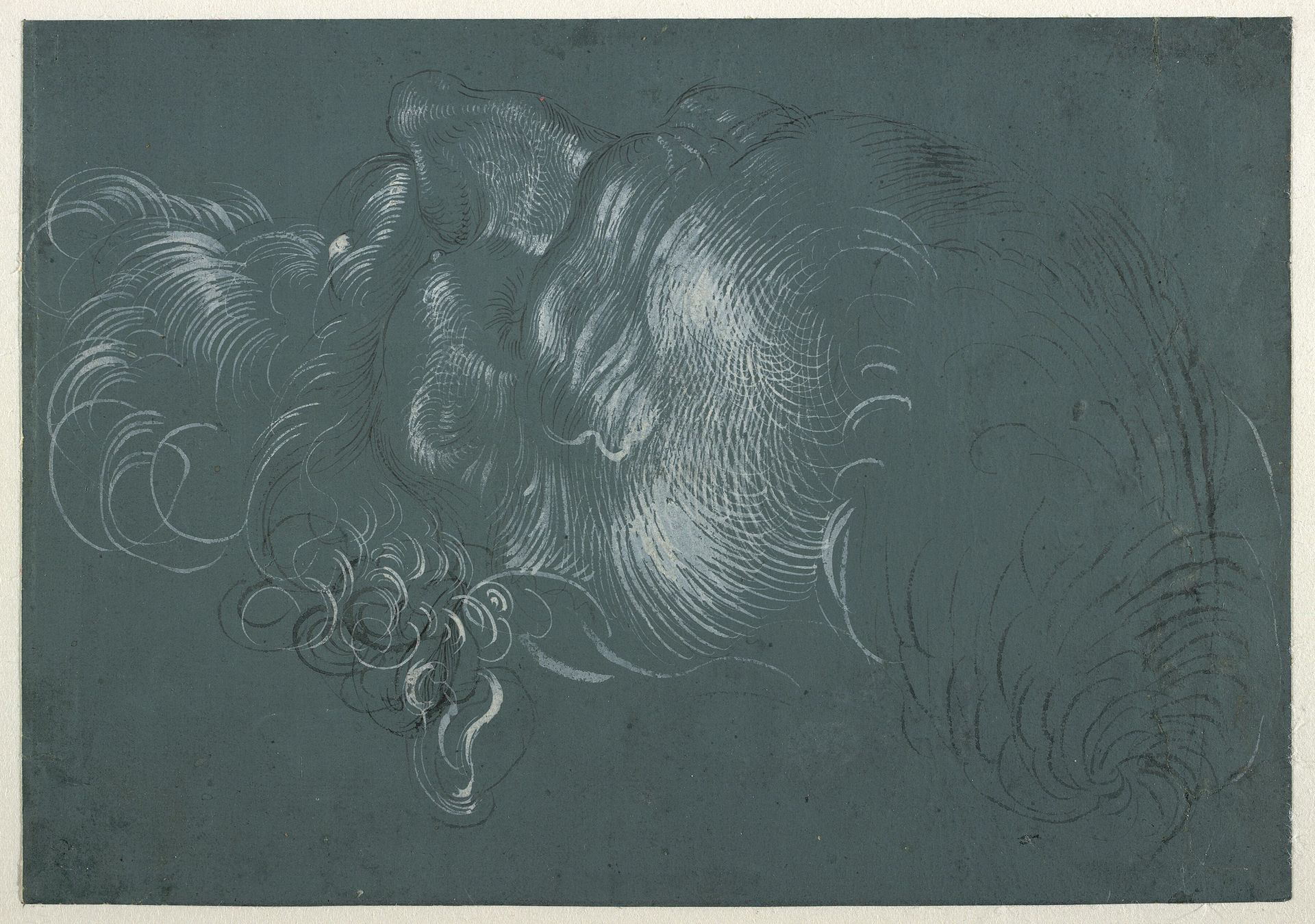 Head of an apostle, seen from above left. by Hans Baldung