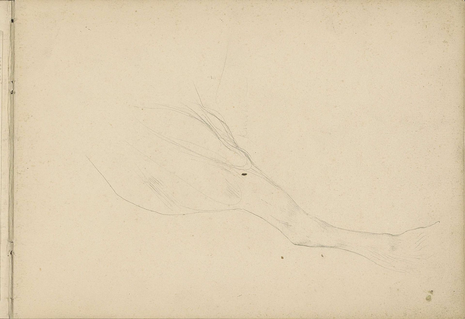 Been van een paard by Antoon Derkinderen