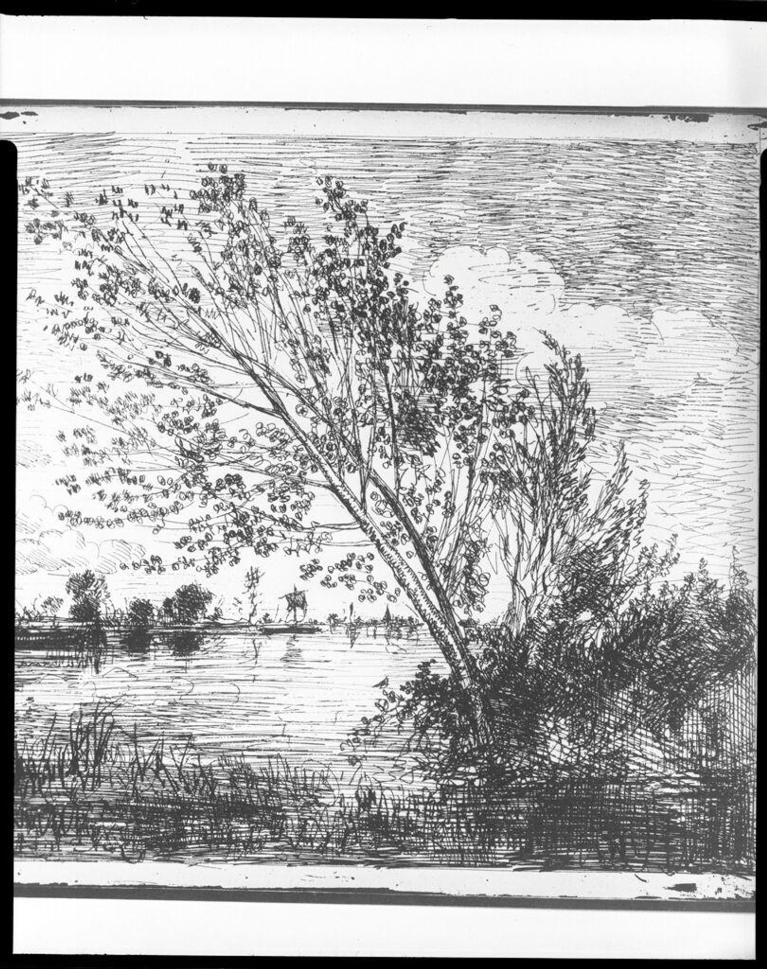 The Clump of Alders by Charles François Daubigny