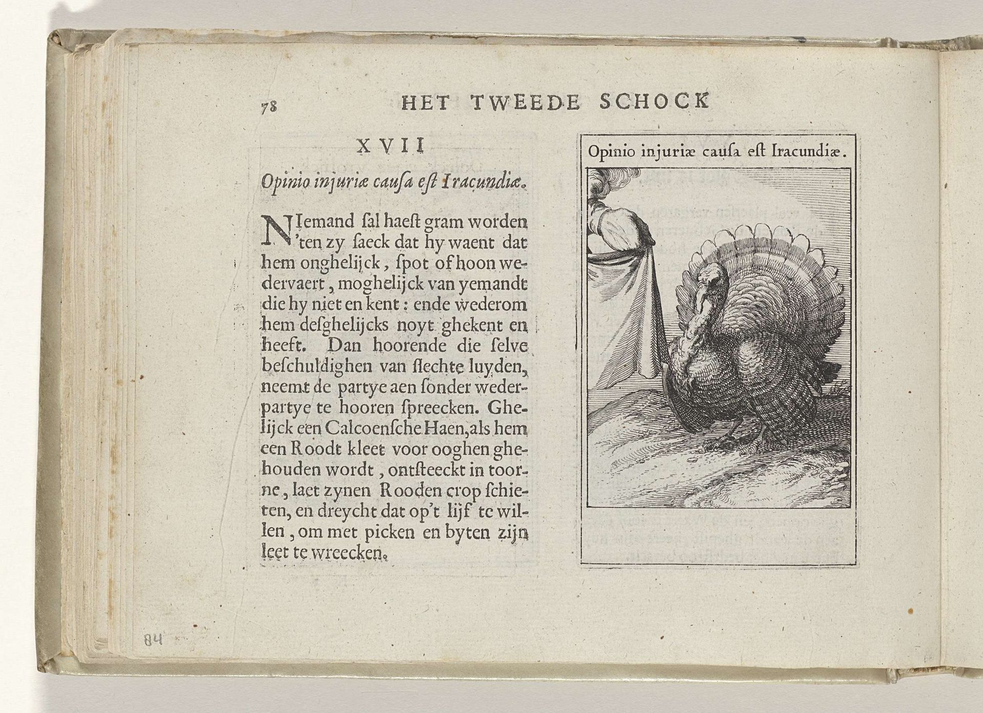 XVII Opinio injuriae causa est Iracundiae by Roemer Visscher